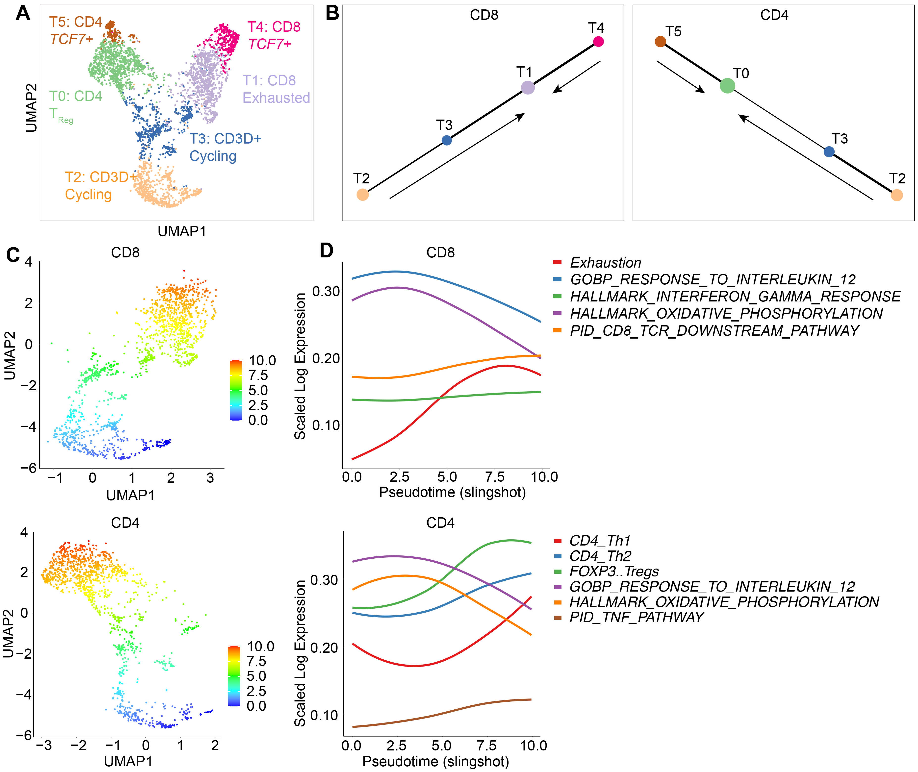 Cancers 15 05552 g005