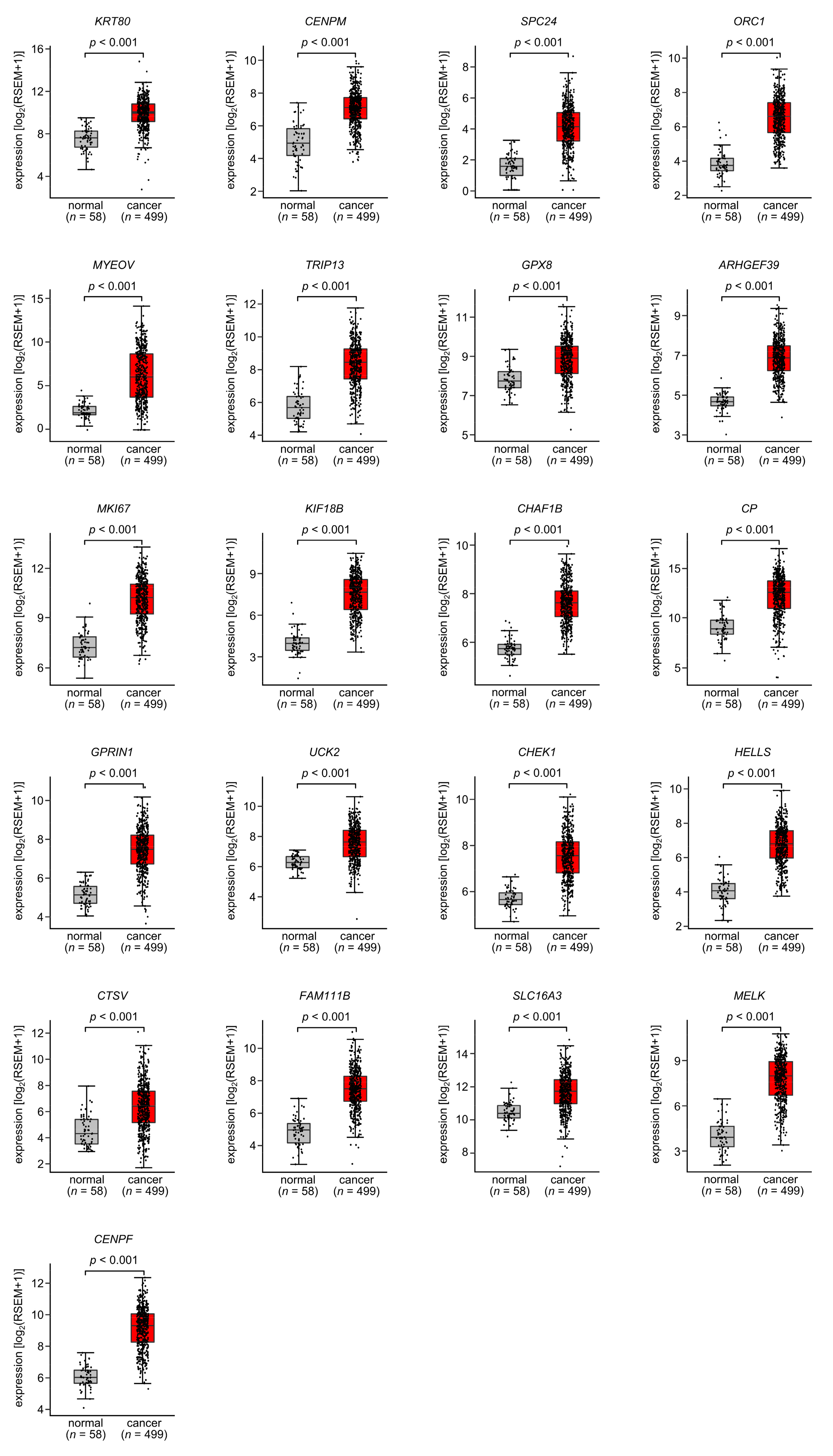 Cancers 15 05571 g004 Cancers 15 05571 g004