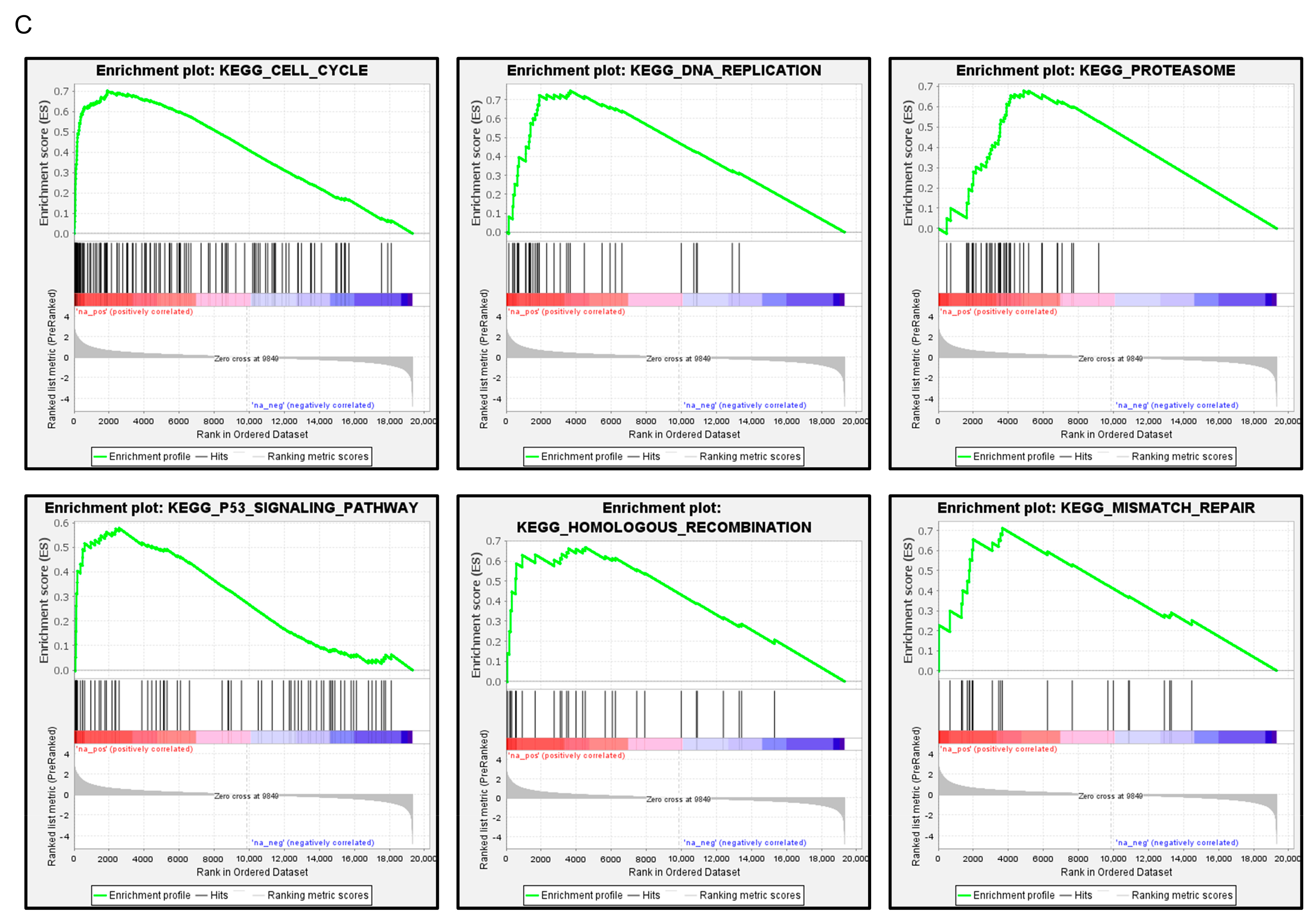 Cancers 15 05571 g007b Cancers 15 05571 g007b