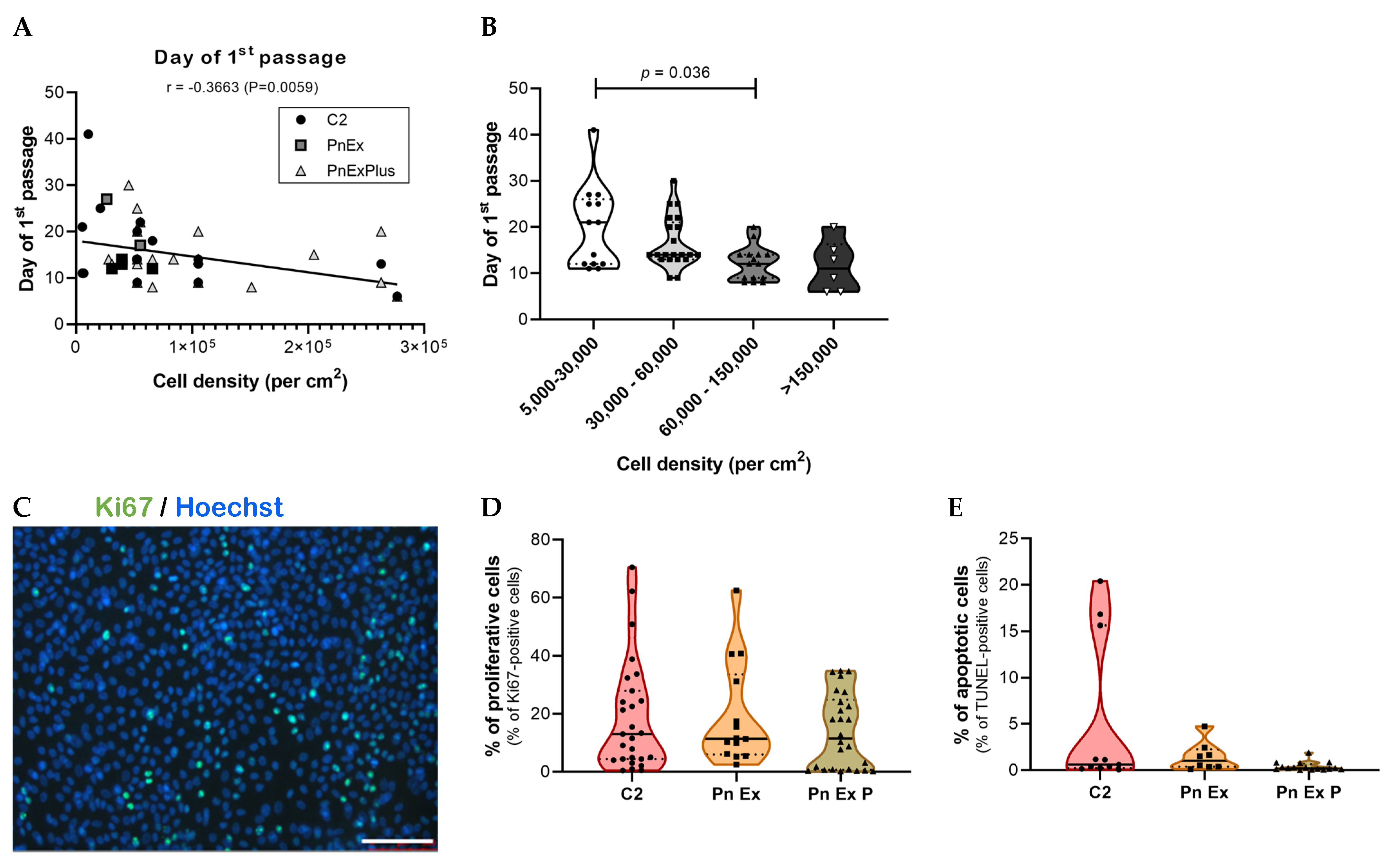 Cancers 15 05576 g002