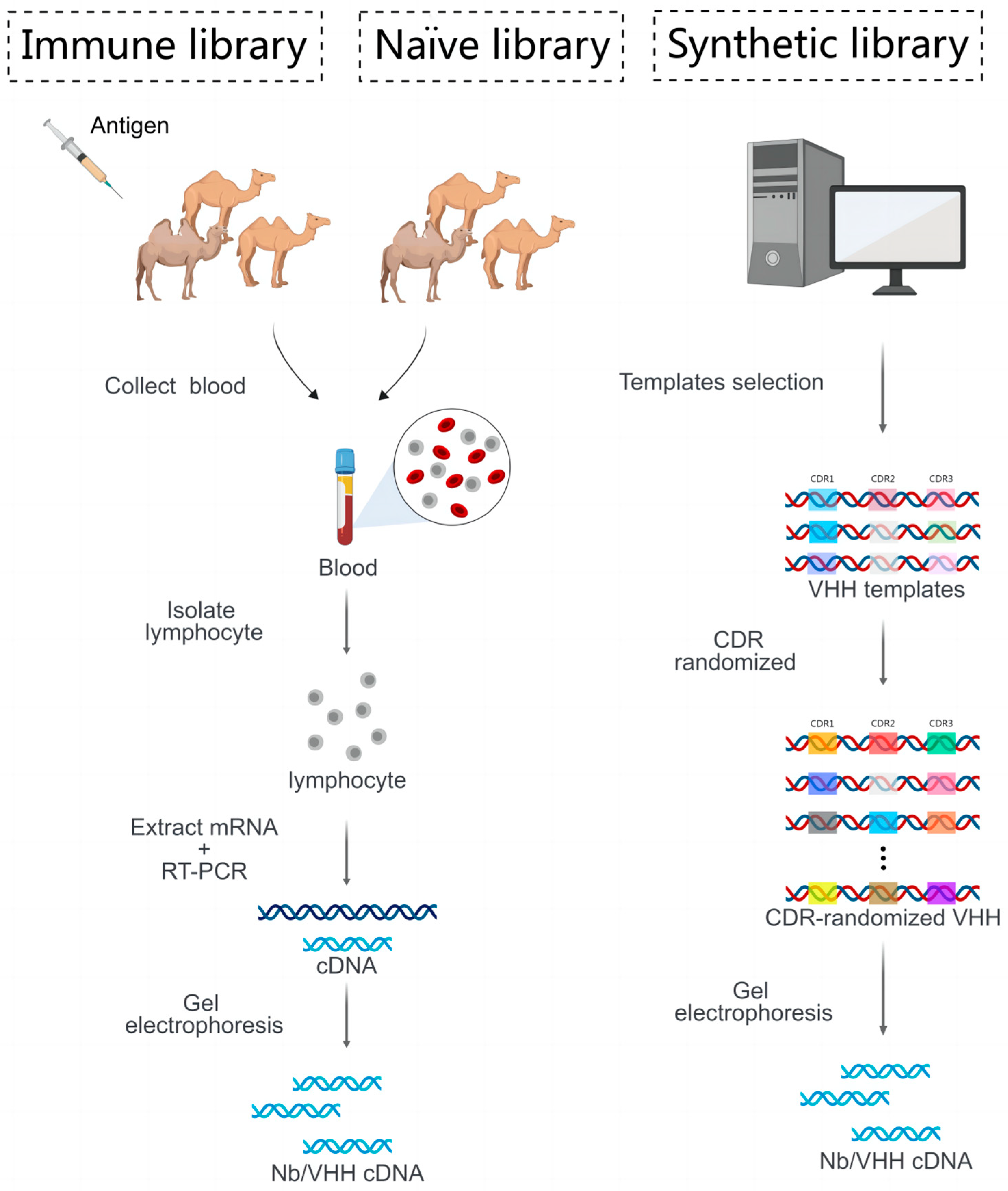 Cancers 15 05639 g002