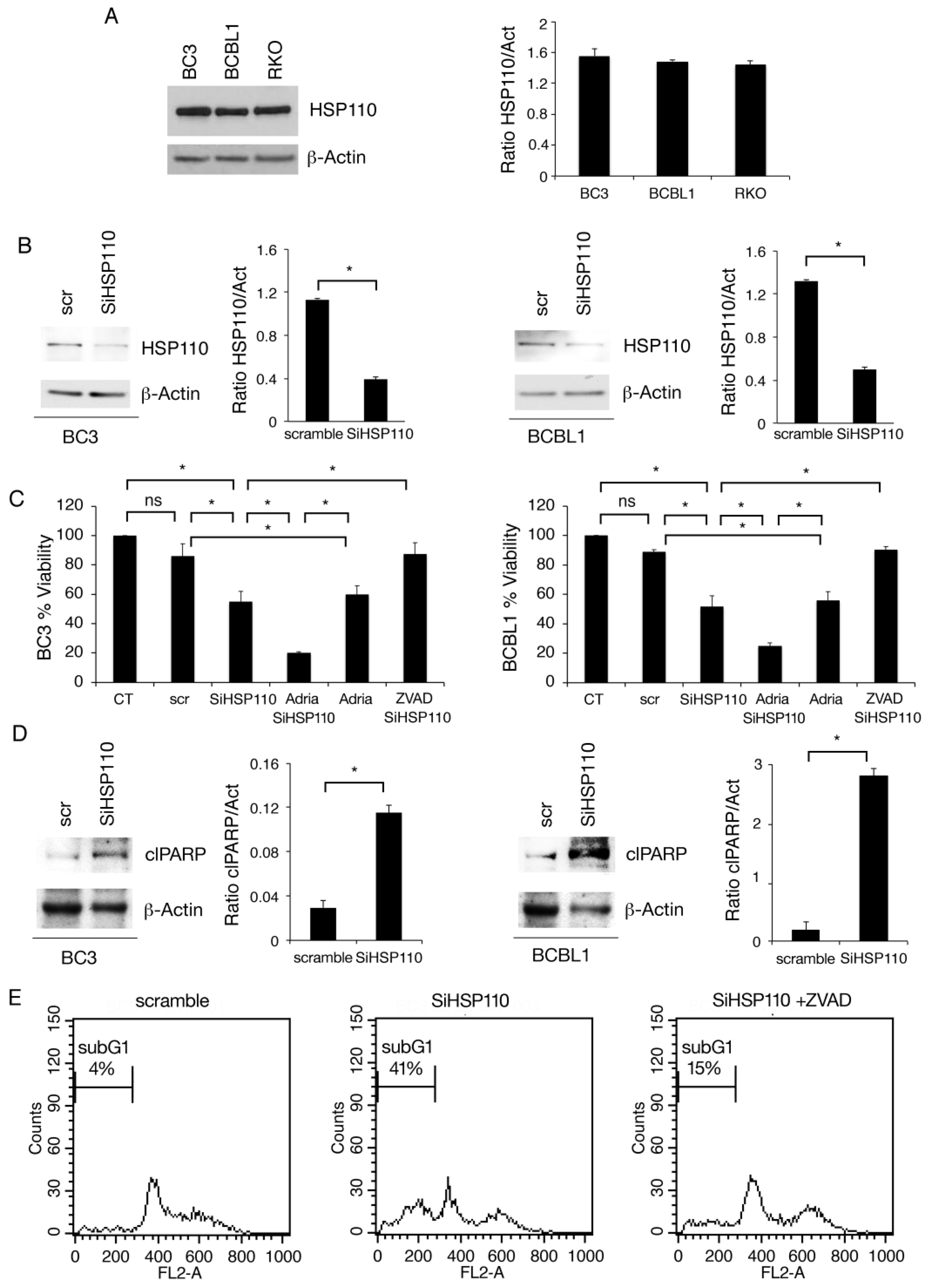 Cancers 15 05651 g001 Cancers 15 05651 g001