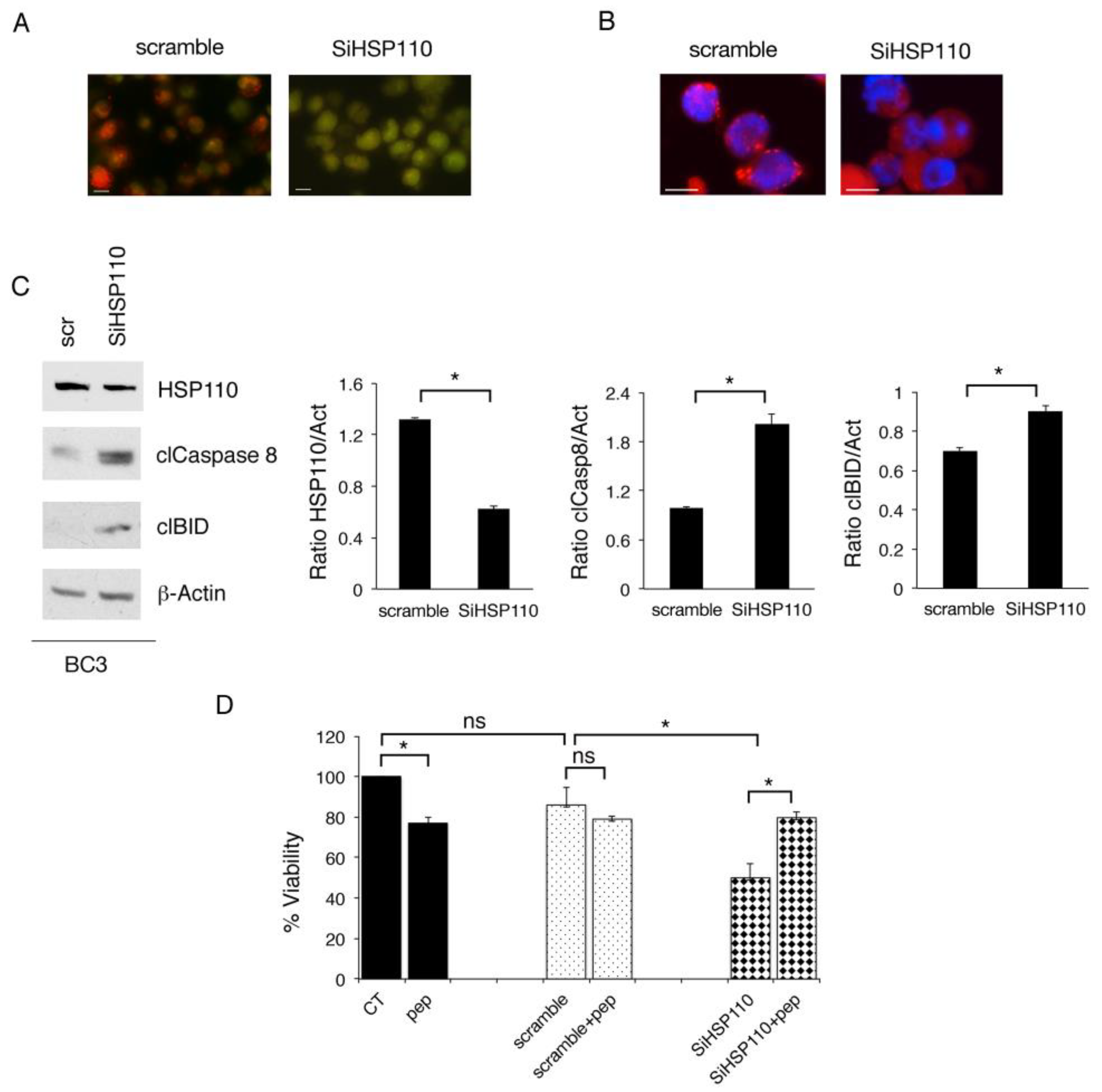 Cancers 15 05651 g002 Cancers 15 05651 g002