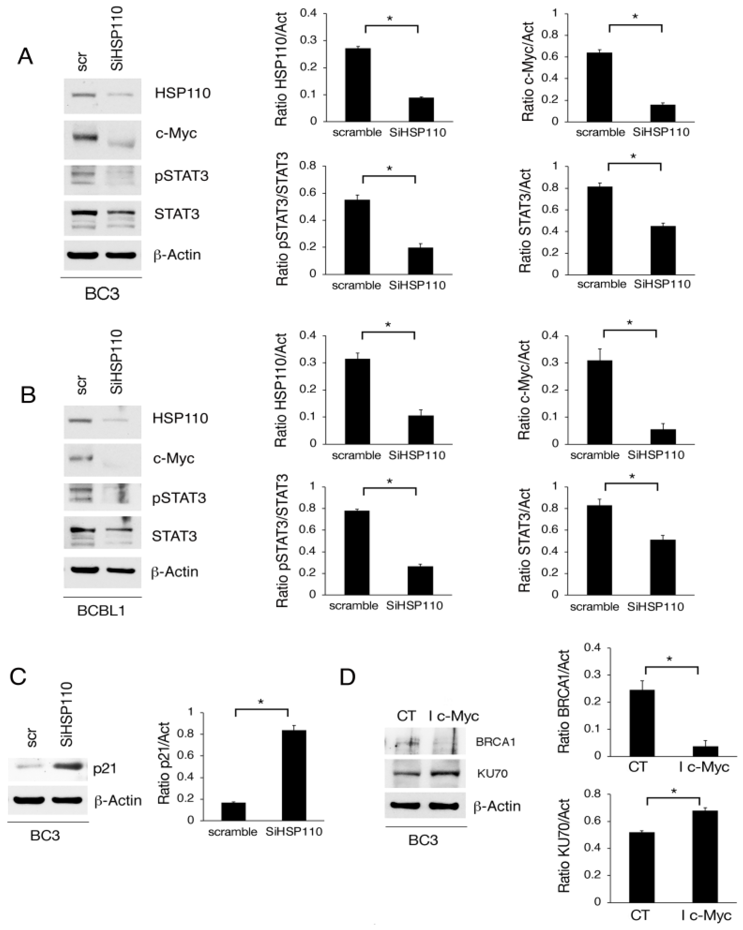 Cancers 15 05651 g004 Cancers 15 05651 g004