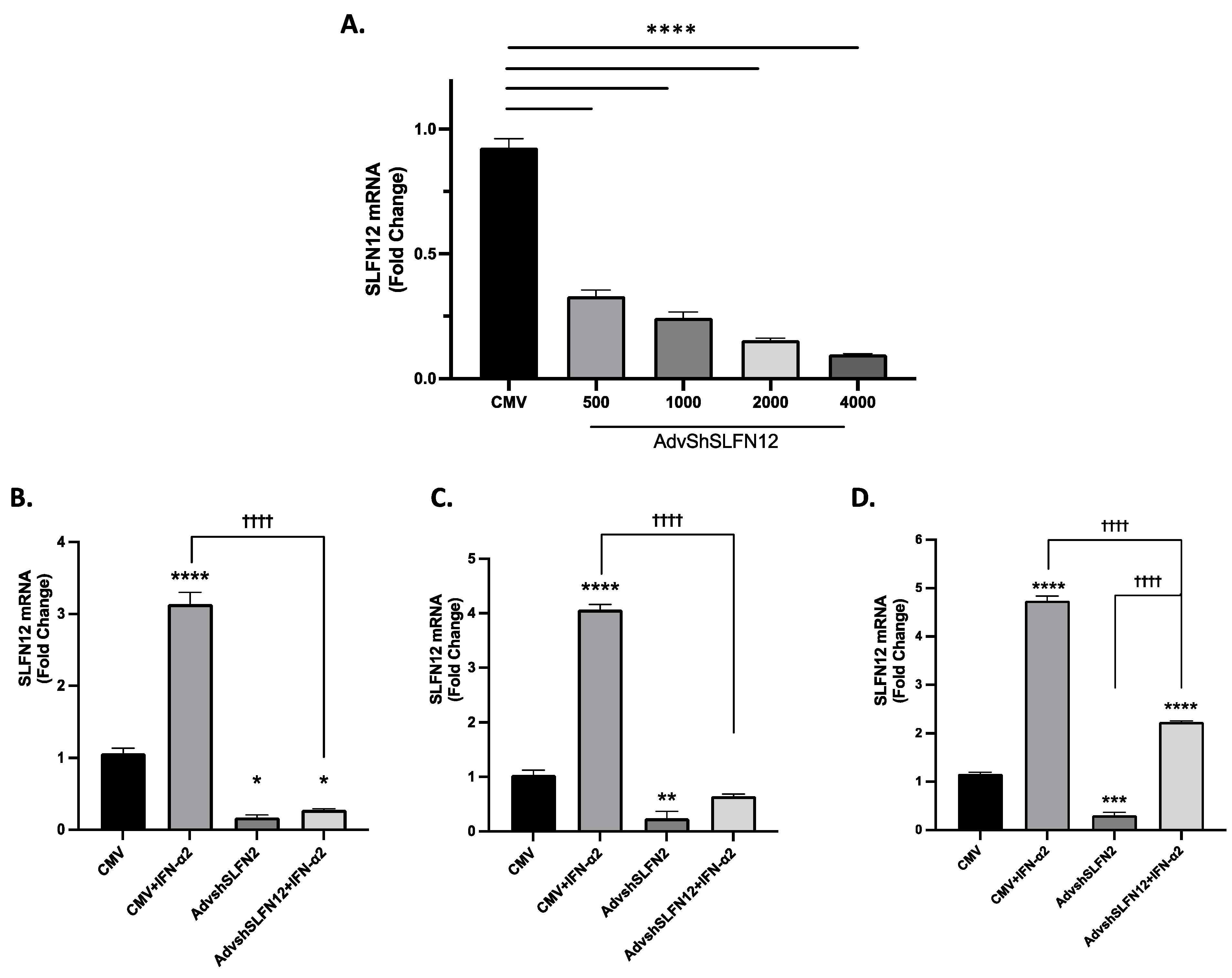 Cancers 15 05658 g001 Cancers 15 05658 g001