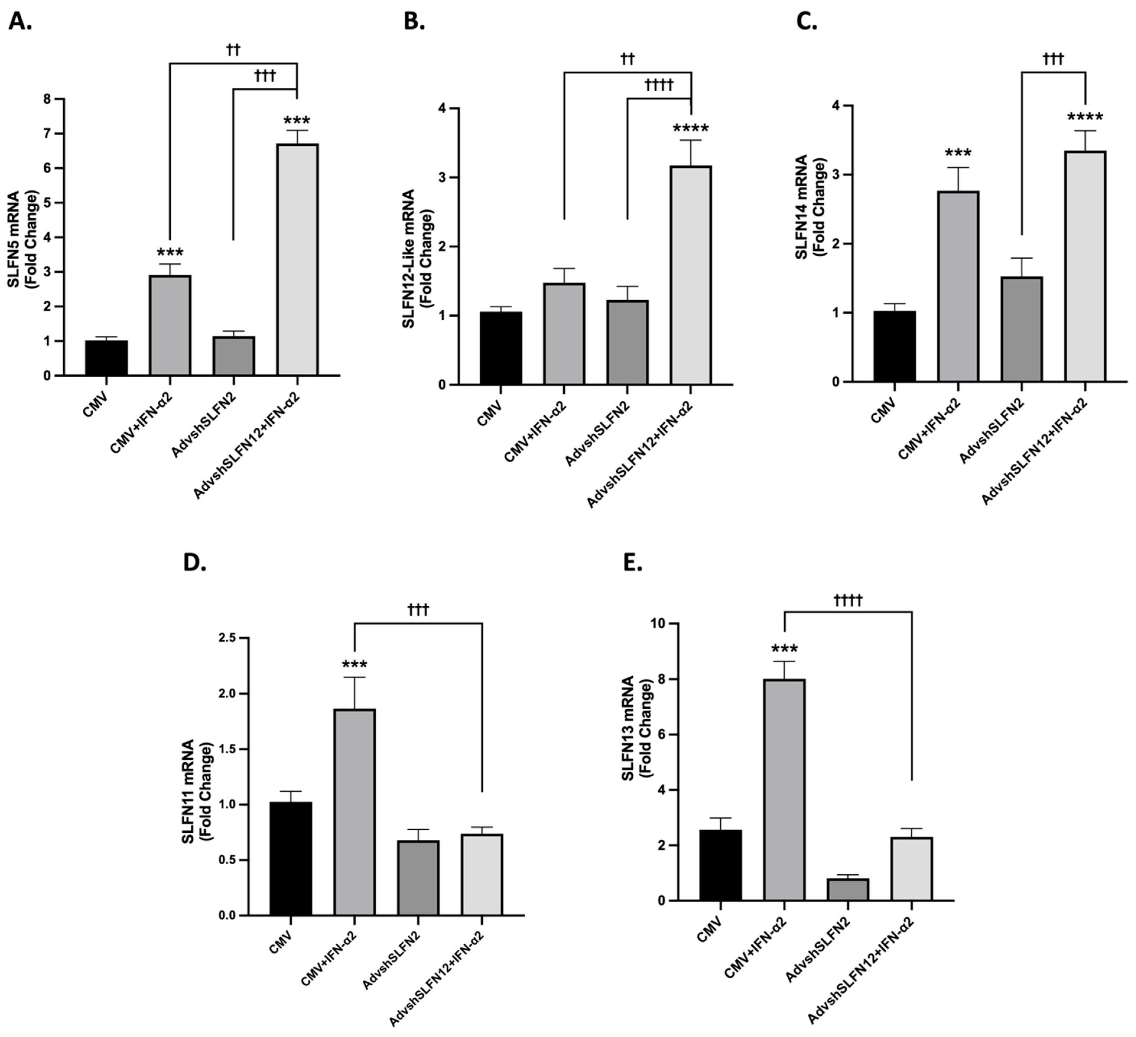 Cancers 15 05658 g003 Cancers 15 05658 g003