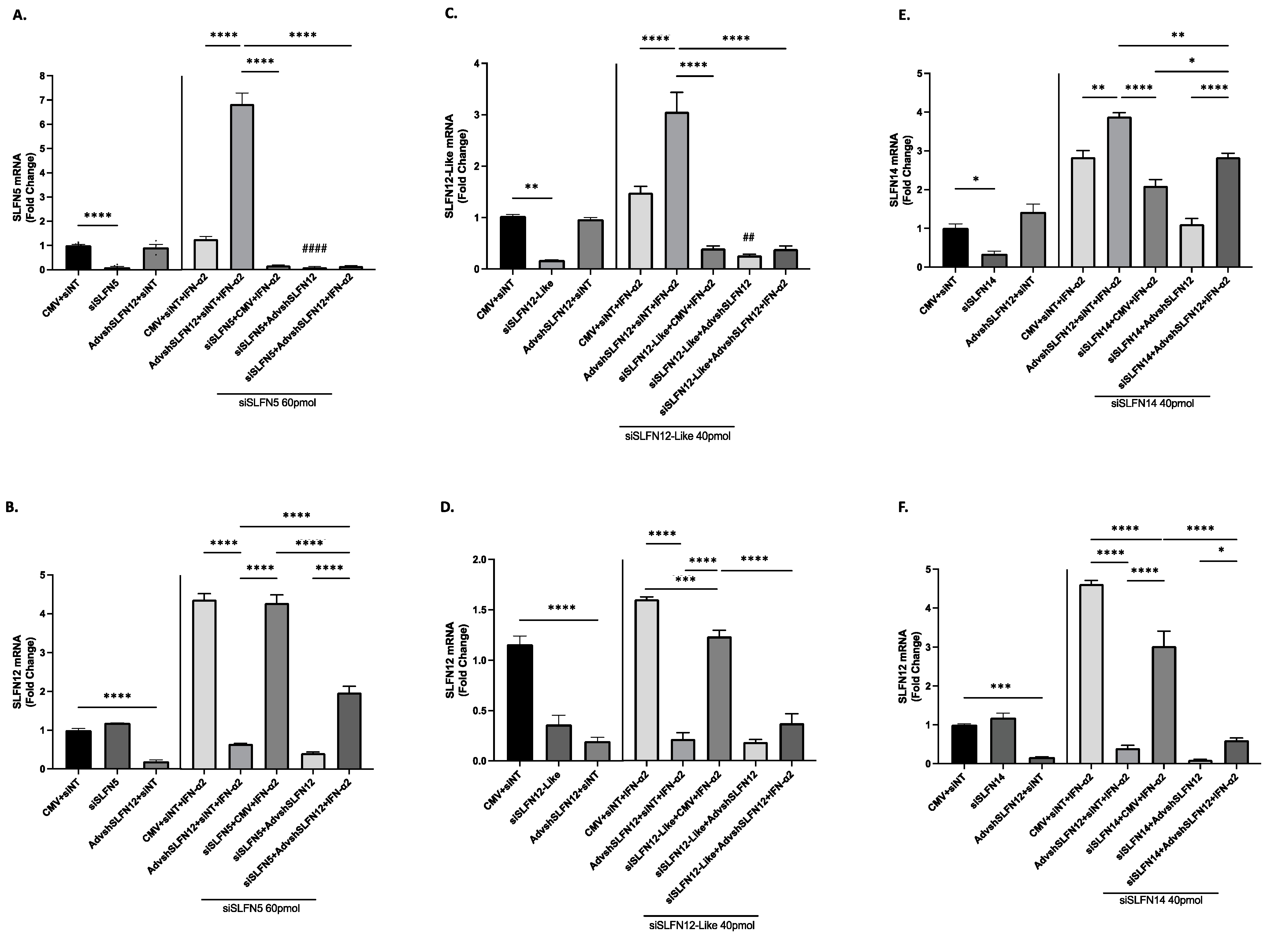 Cancers 15 05658 g005 Cancers 15 05658 g005