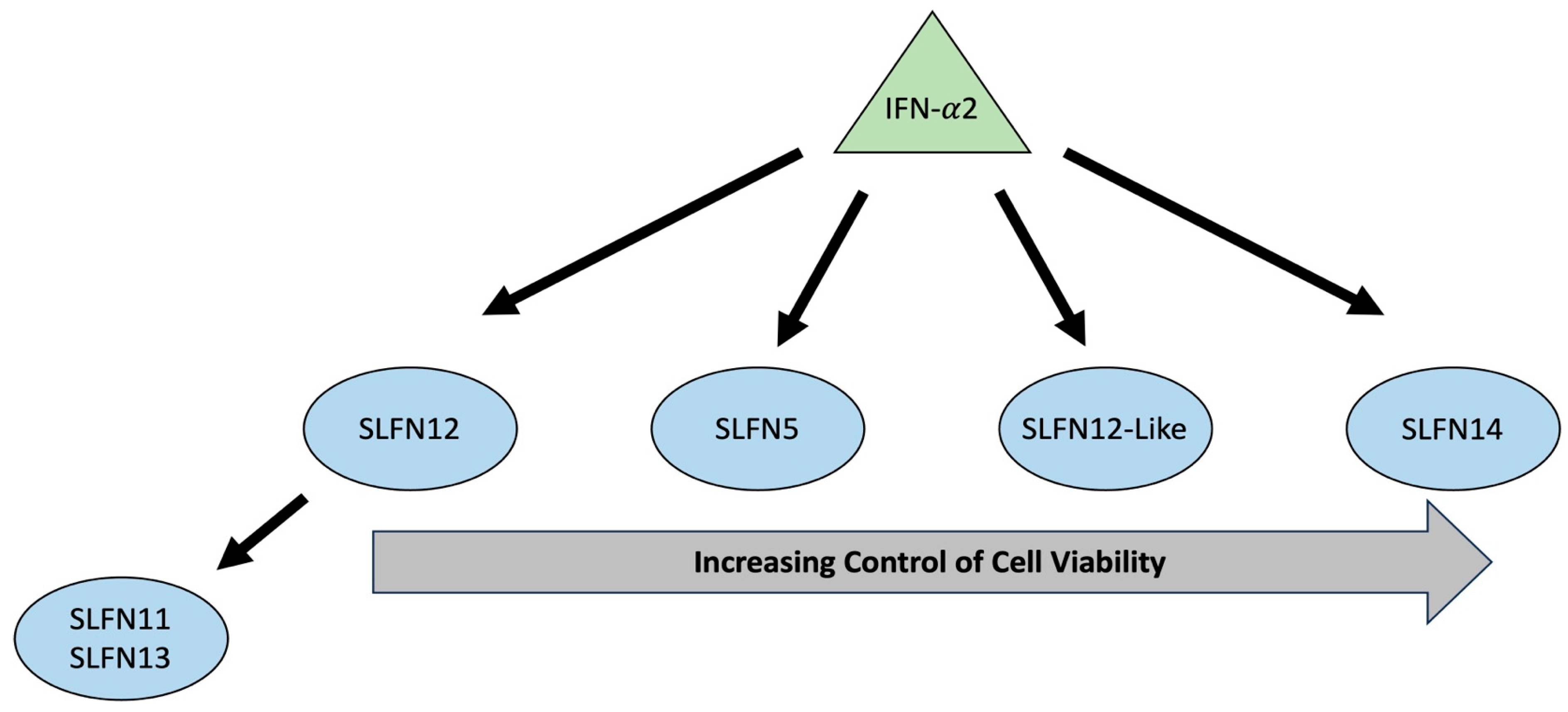Cancers 15 05658 g007 Cancers 15 05658 g007