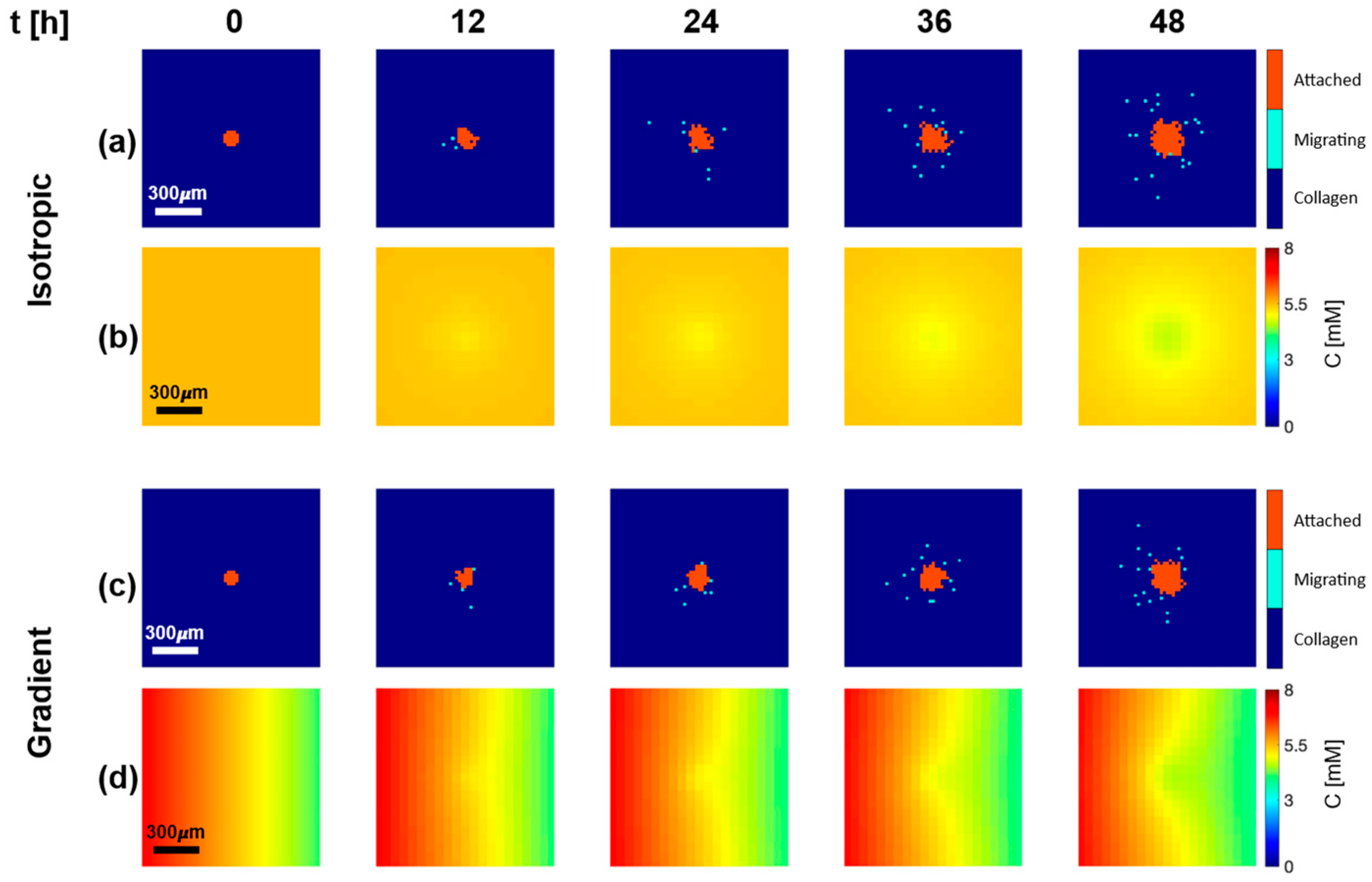 Cancers 15 05660 g003