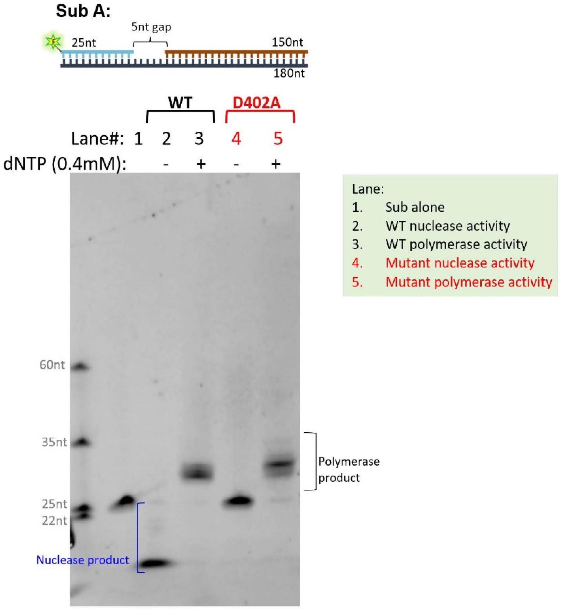 Cancers 15 05674 g002