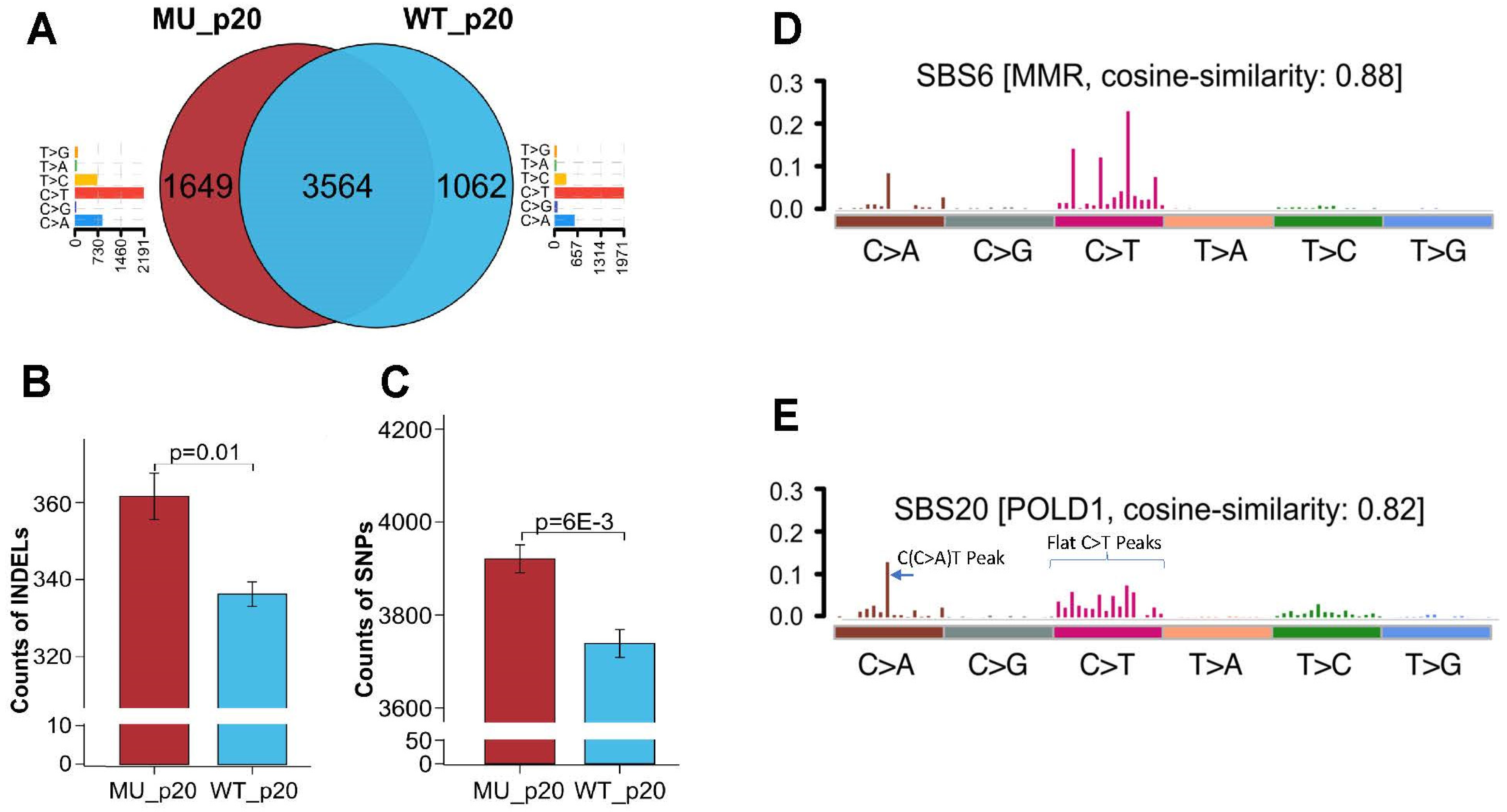 Cancers 15 05674 g003