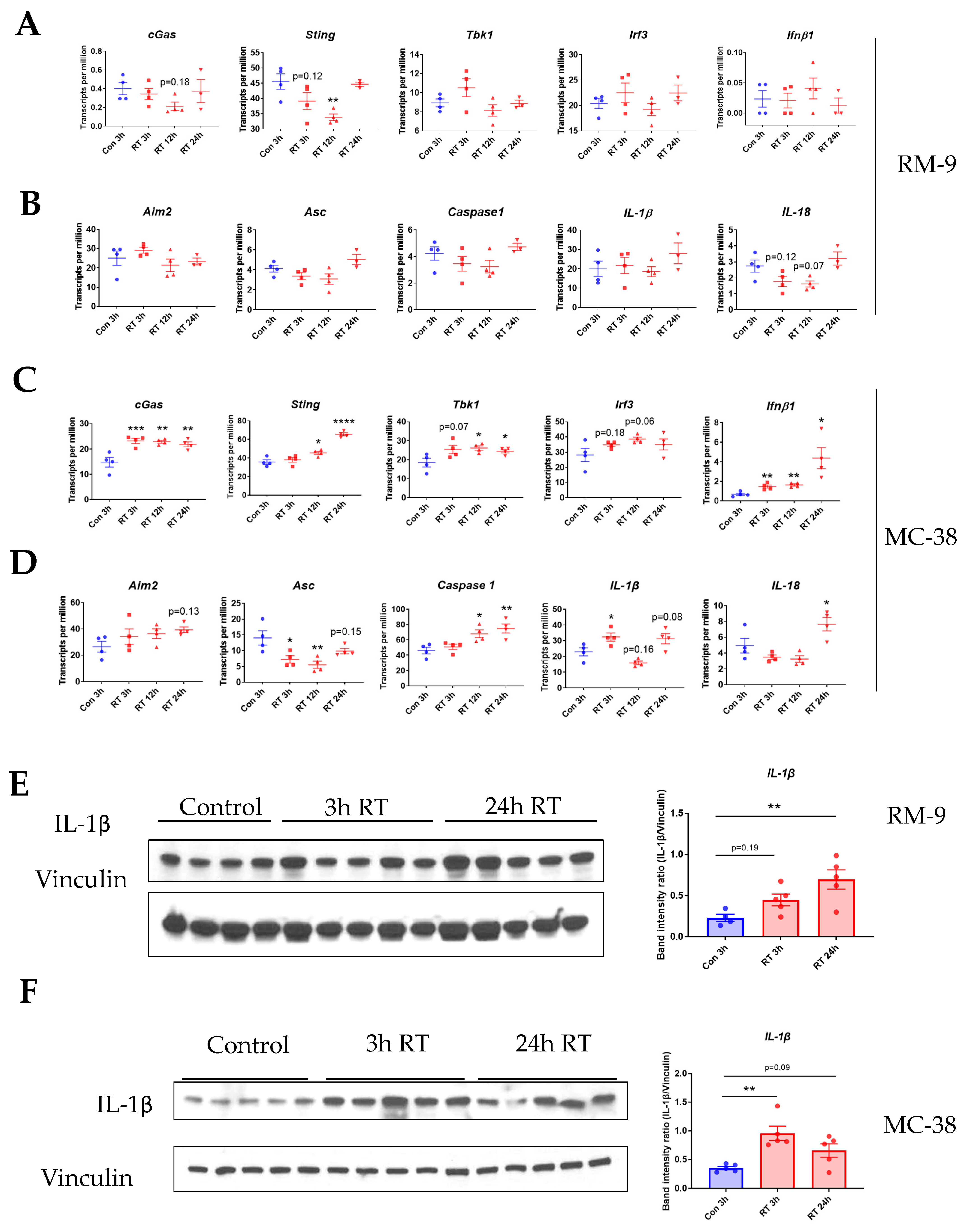 Cancers 15 05686 g005
