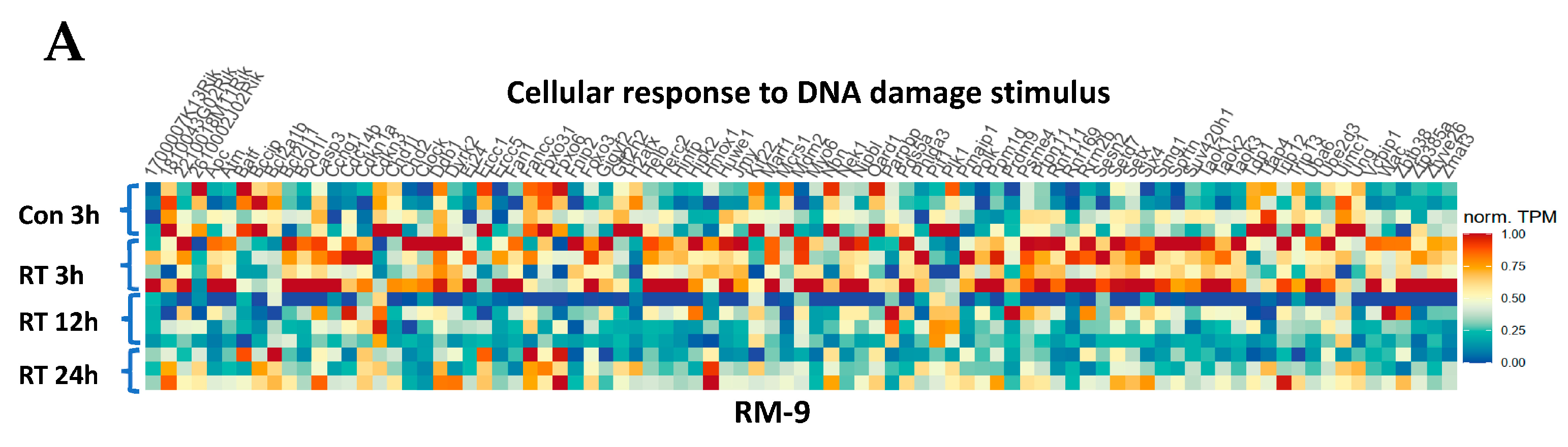 Cancers 15 05686 g006a