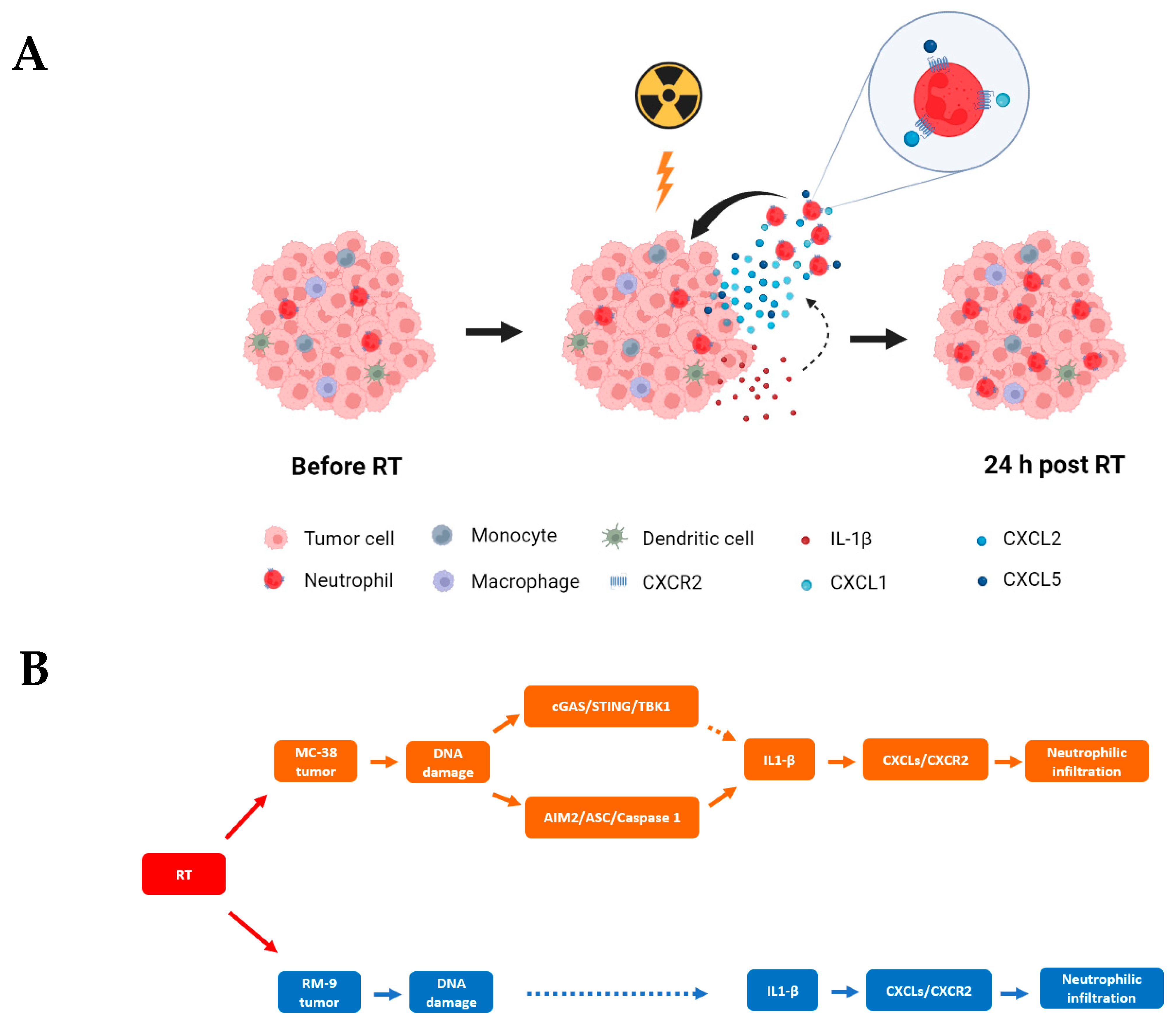Cancers 15 05686 g007