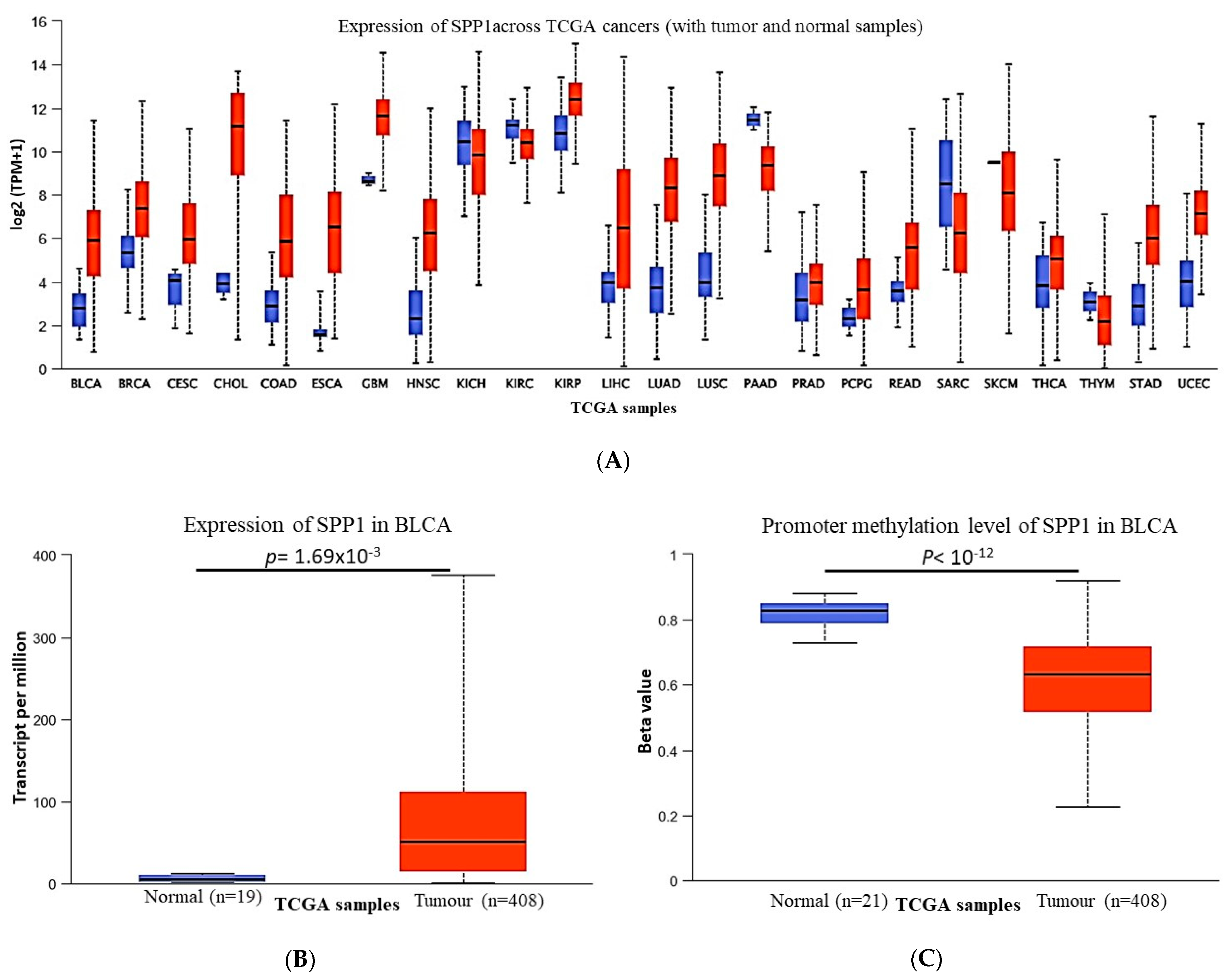 Cancers 15 05704 g001 Cancers 15 05704 g001