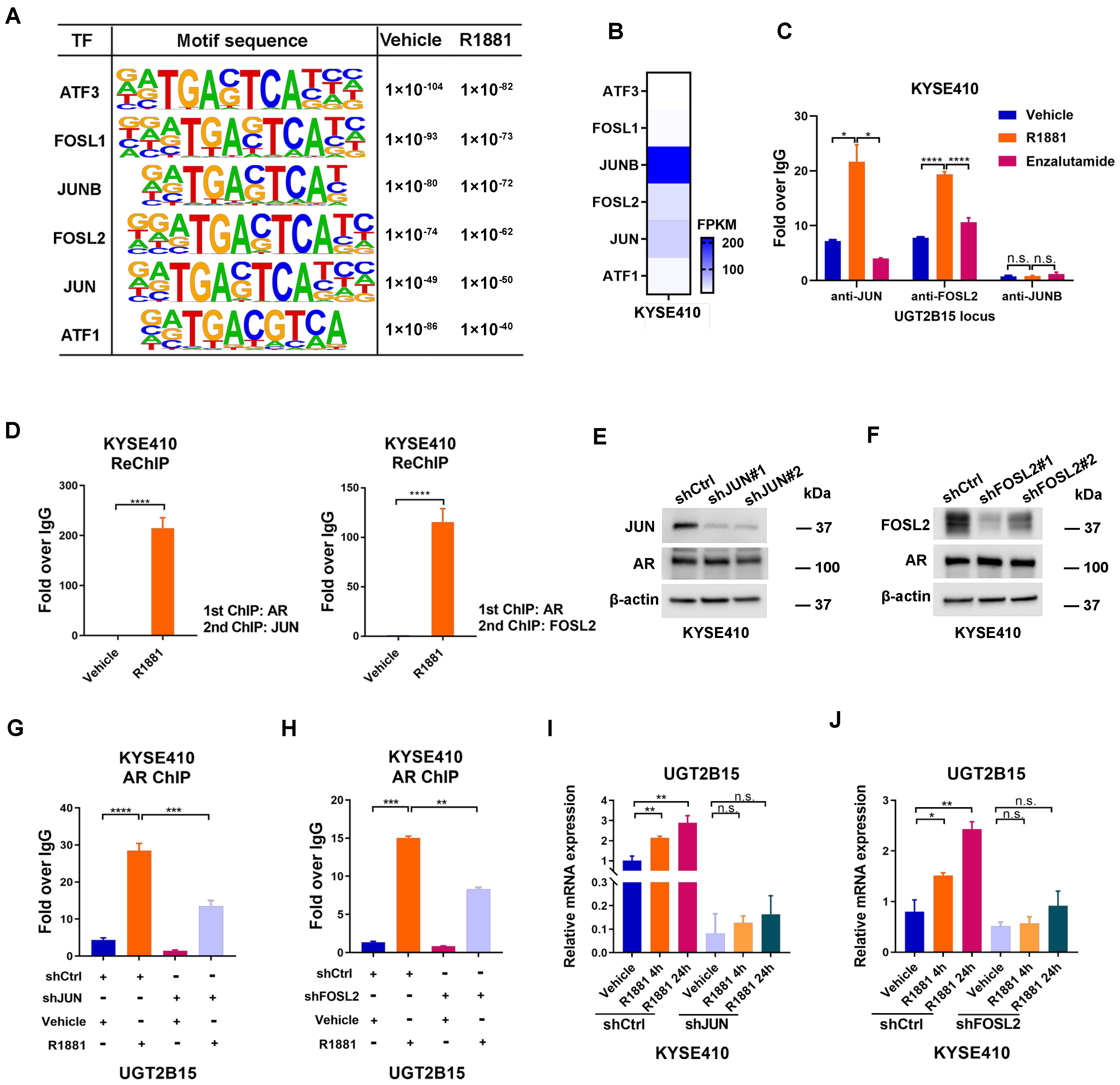 Cancers 15 05719 g002