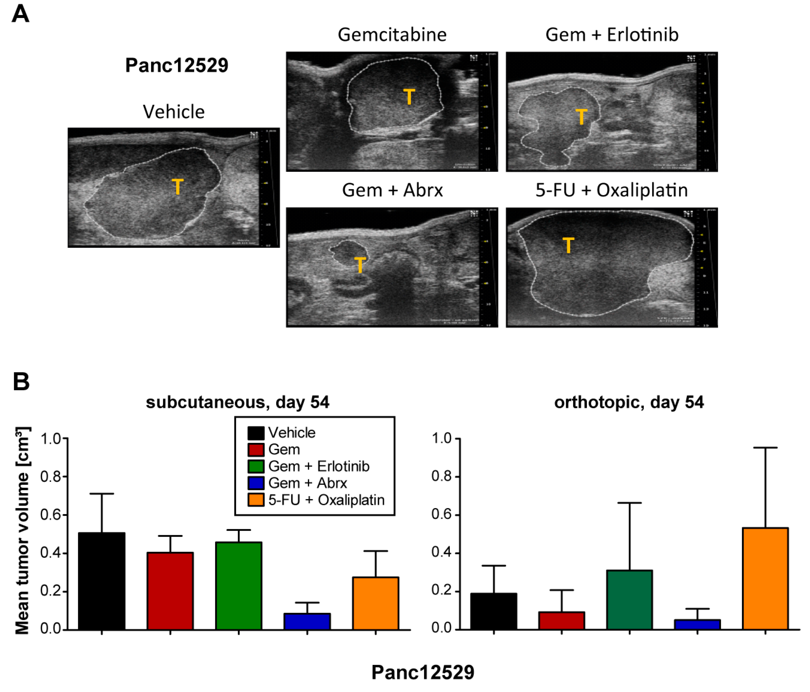 Cancers 15 05753 g003