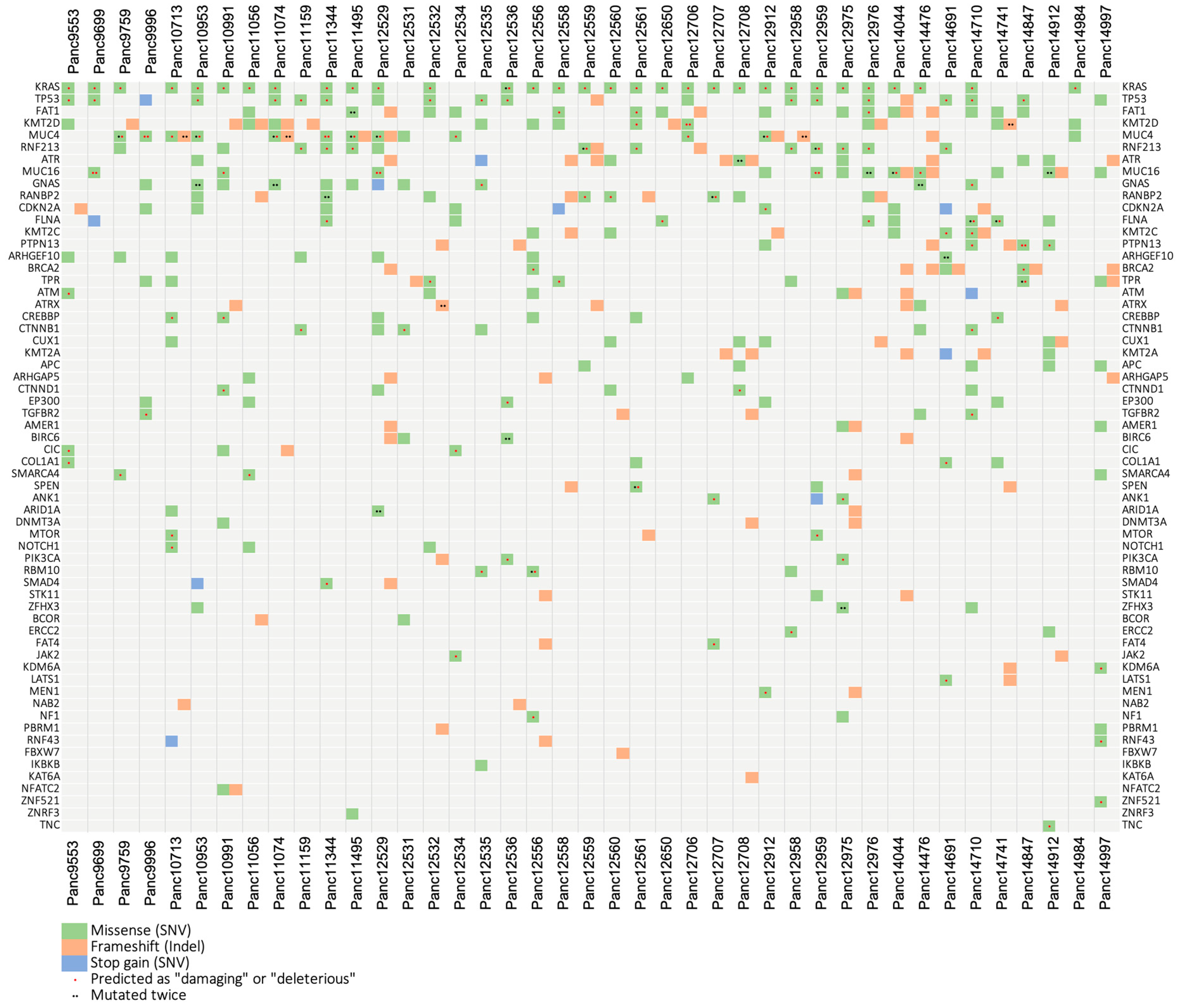 Cancers 15 05753 g005