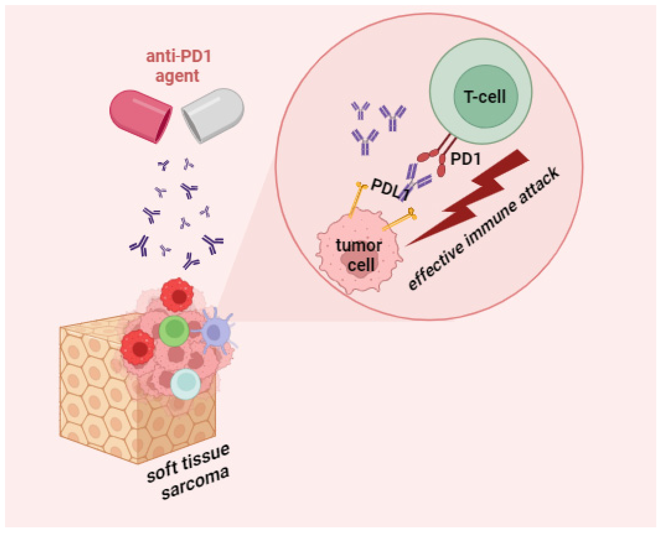 Cancers 15 05760 g002 Cancers 15 05760 g002