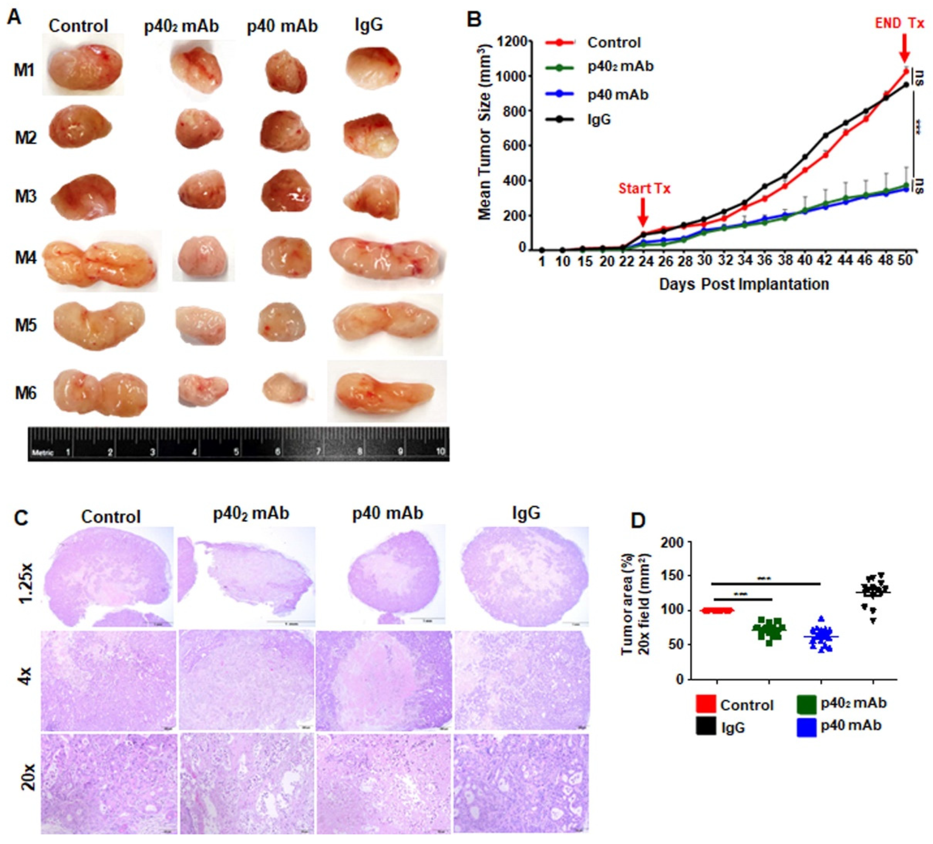 Cancers 15 05796 g007
