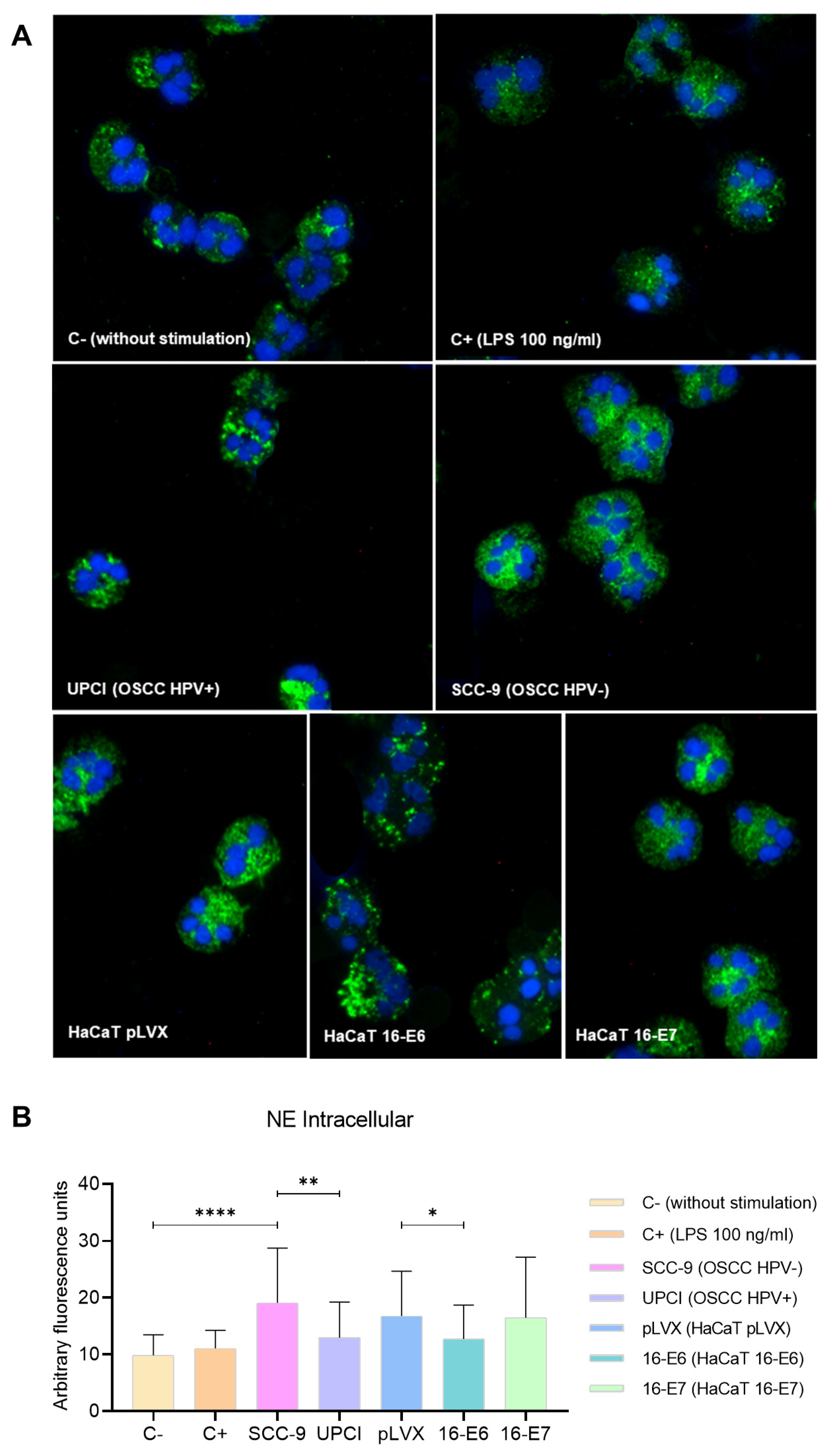 Cancers 15 05814 g005