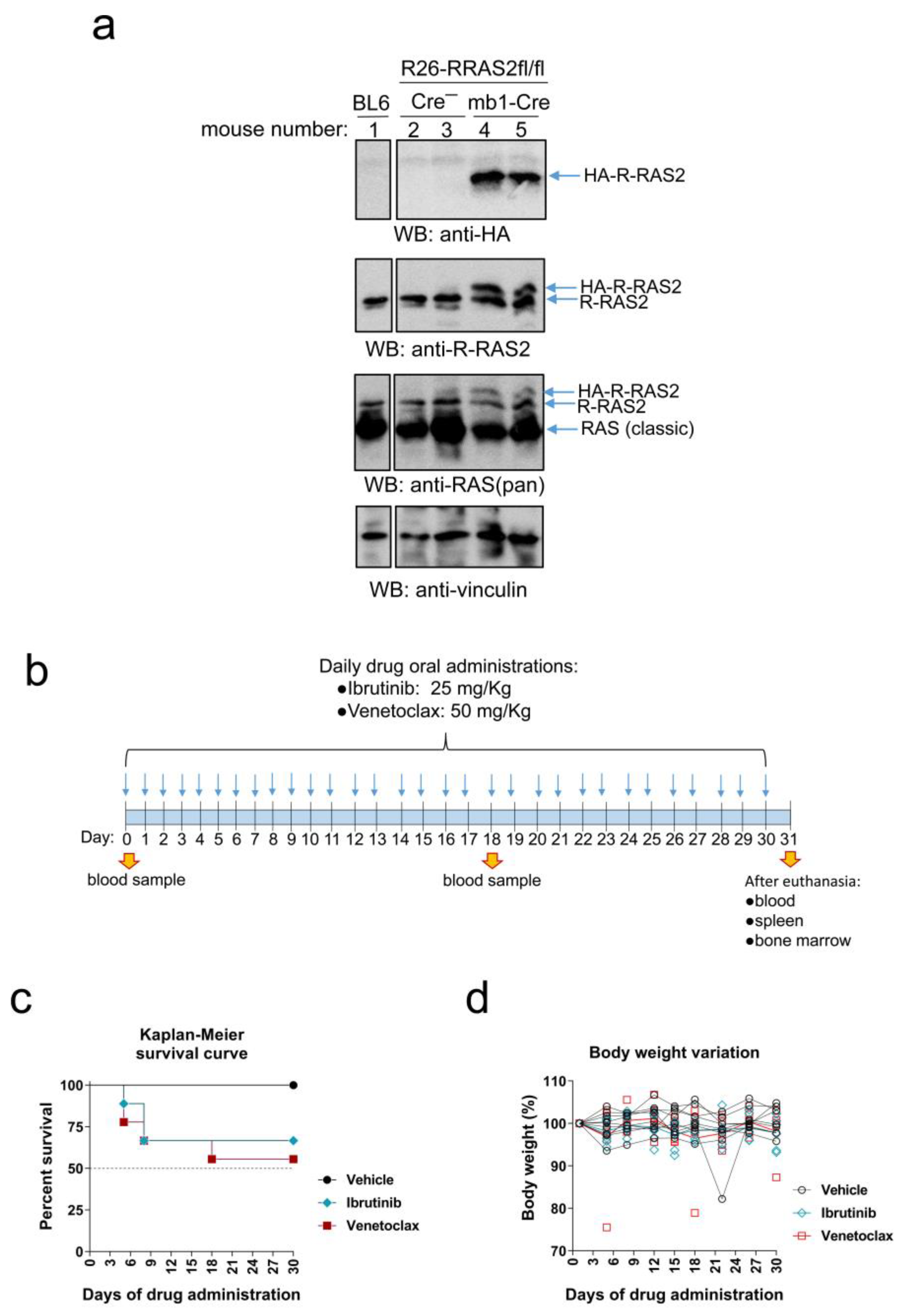 Cancers 15 05817 g001 Cancers 15 05817 g001