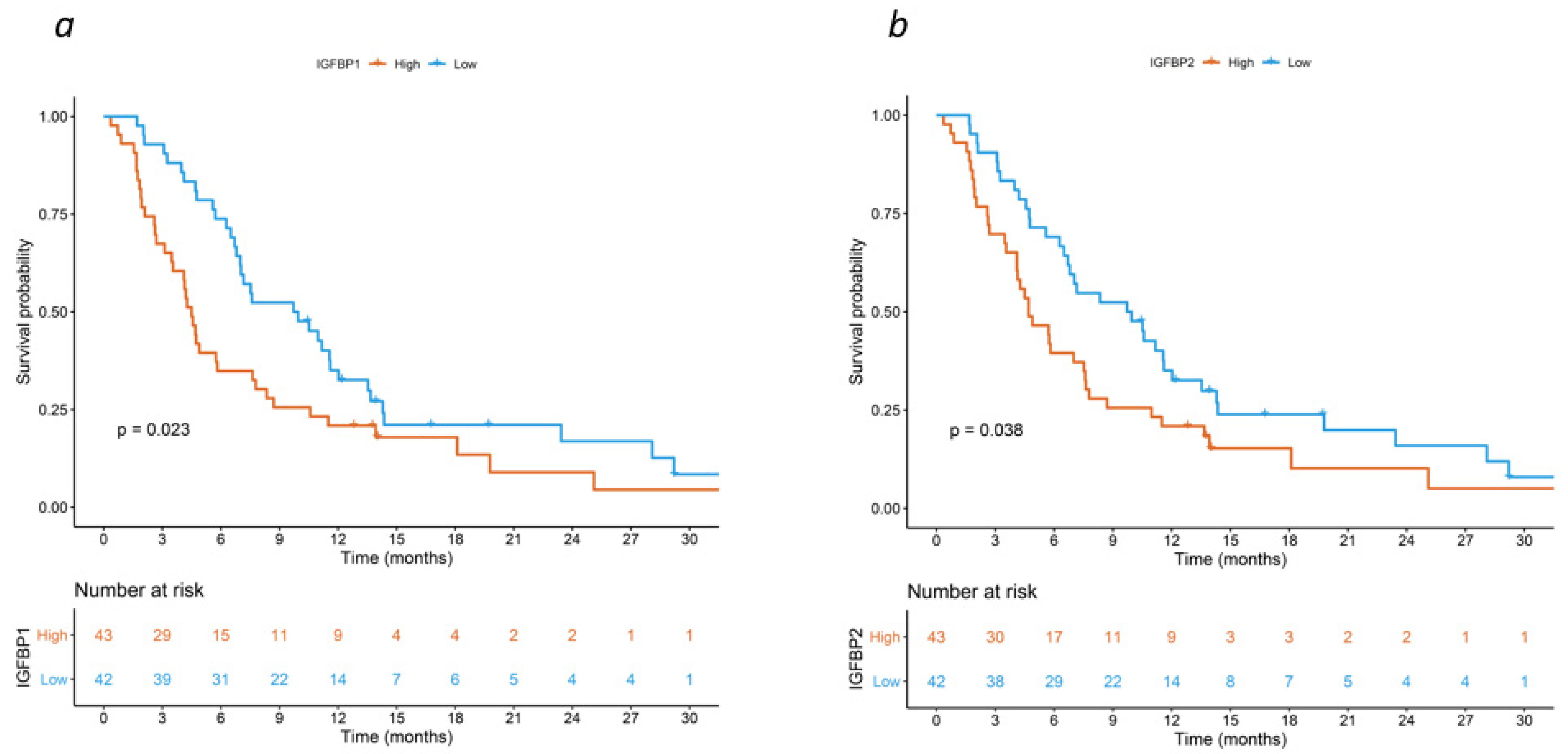 Cancers 15 05823 g001