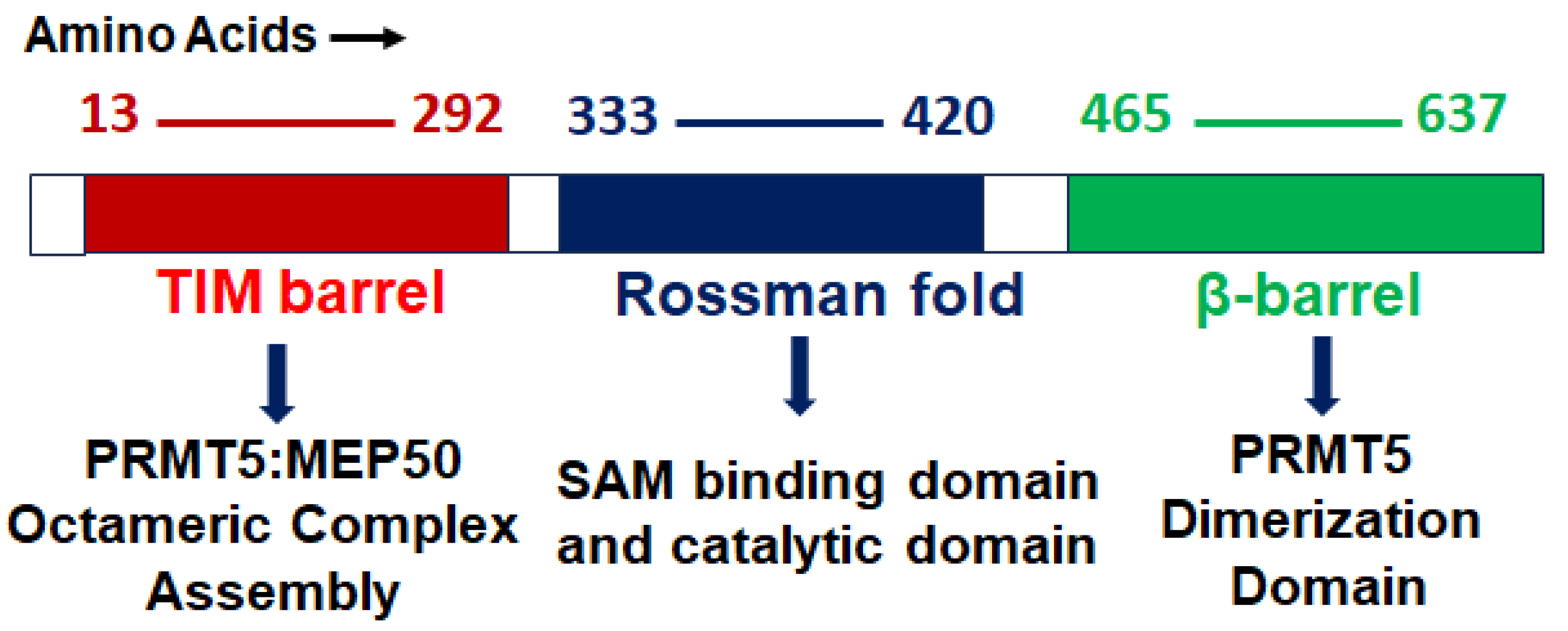 Cancers 15 05855 g001