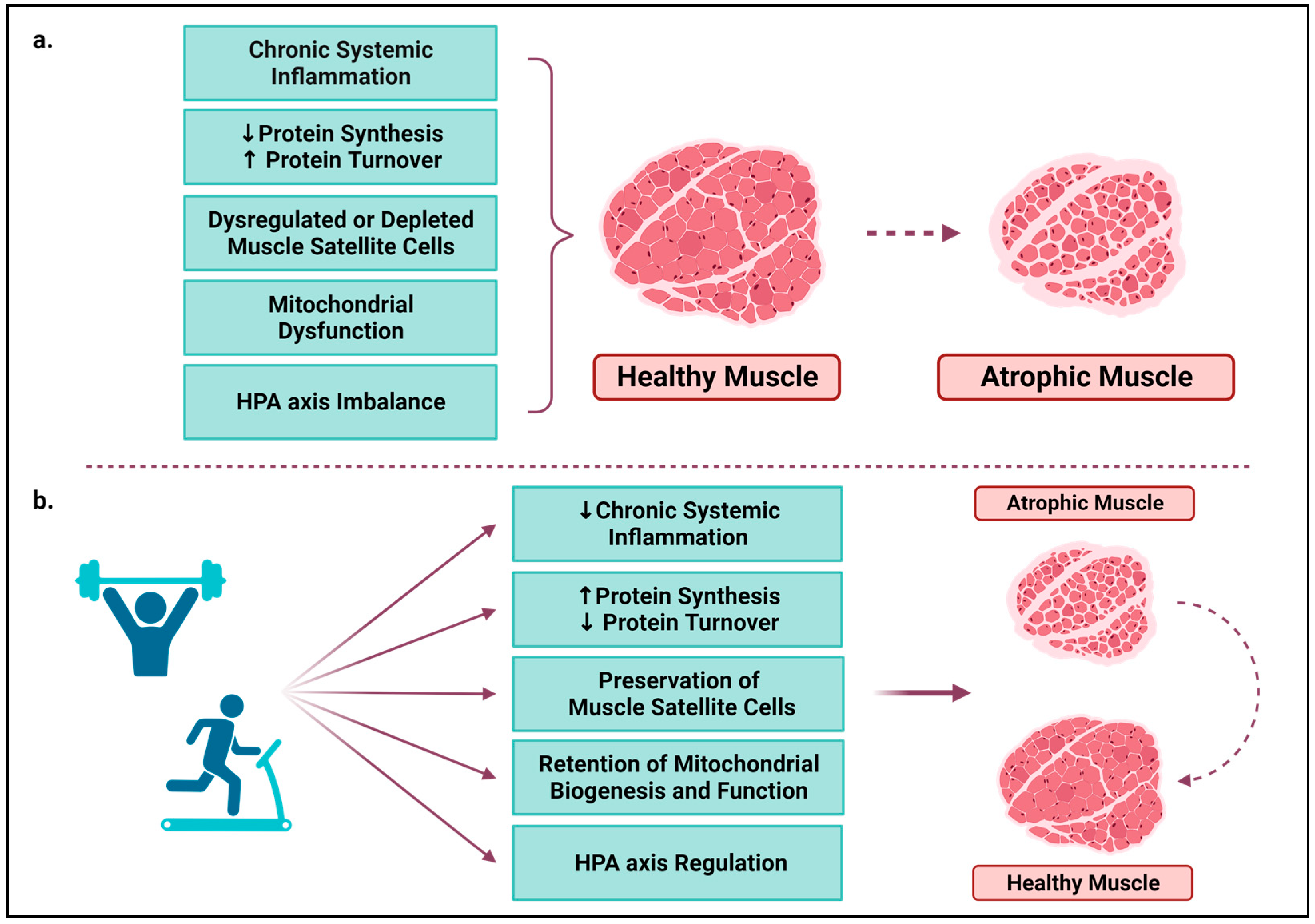 Cancers 15 05856 g002