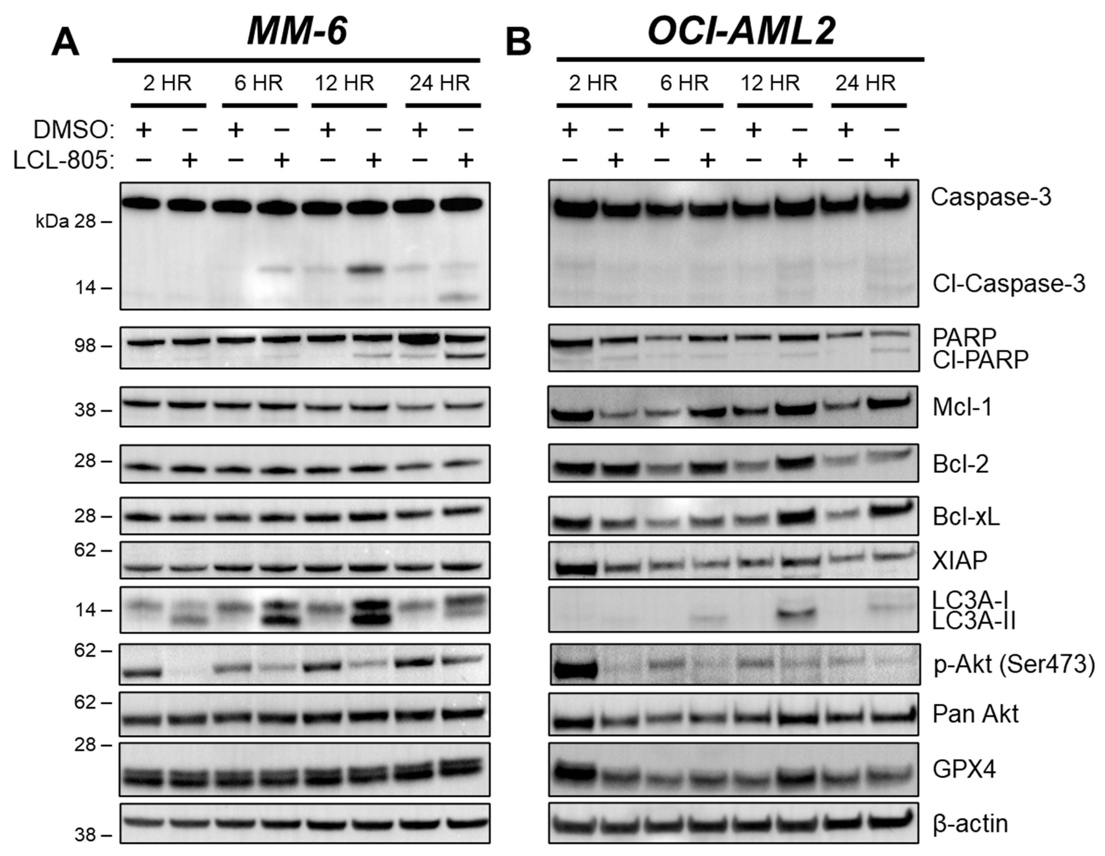 Cancers 15 05866 g005