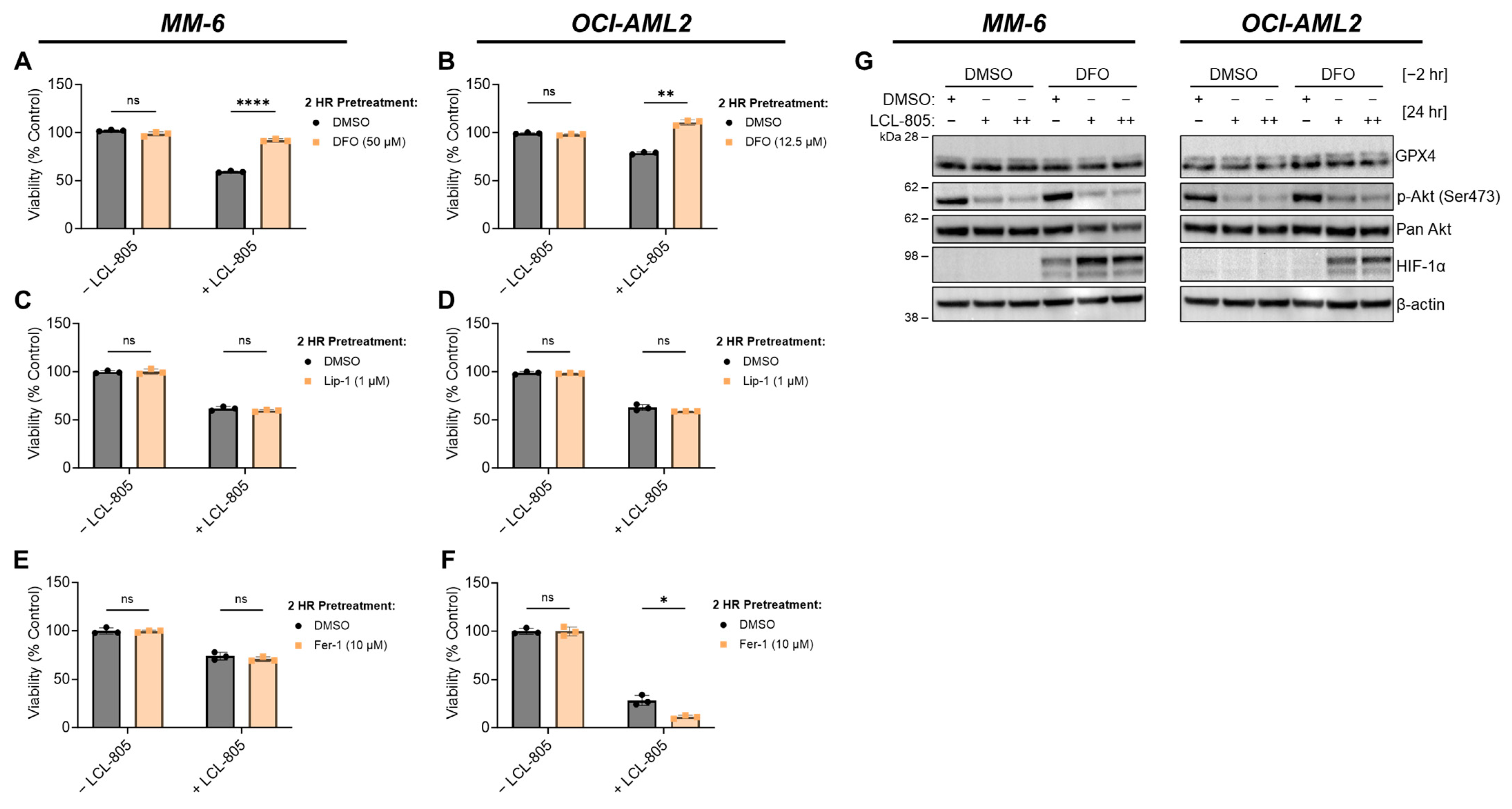 Cancers 15 05866 g008