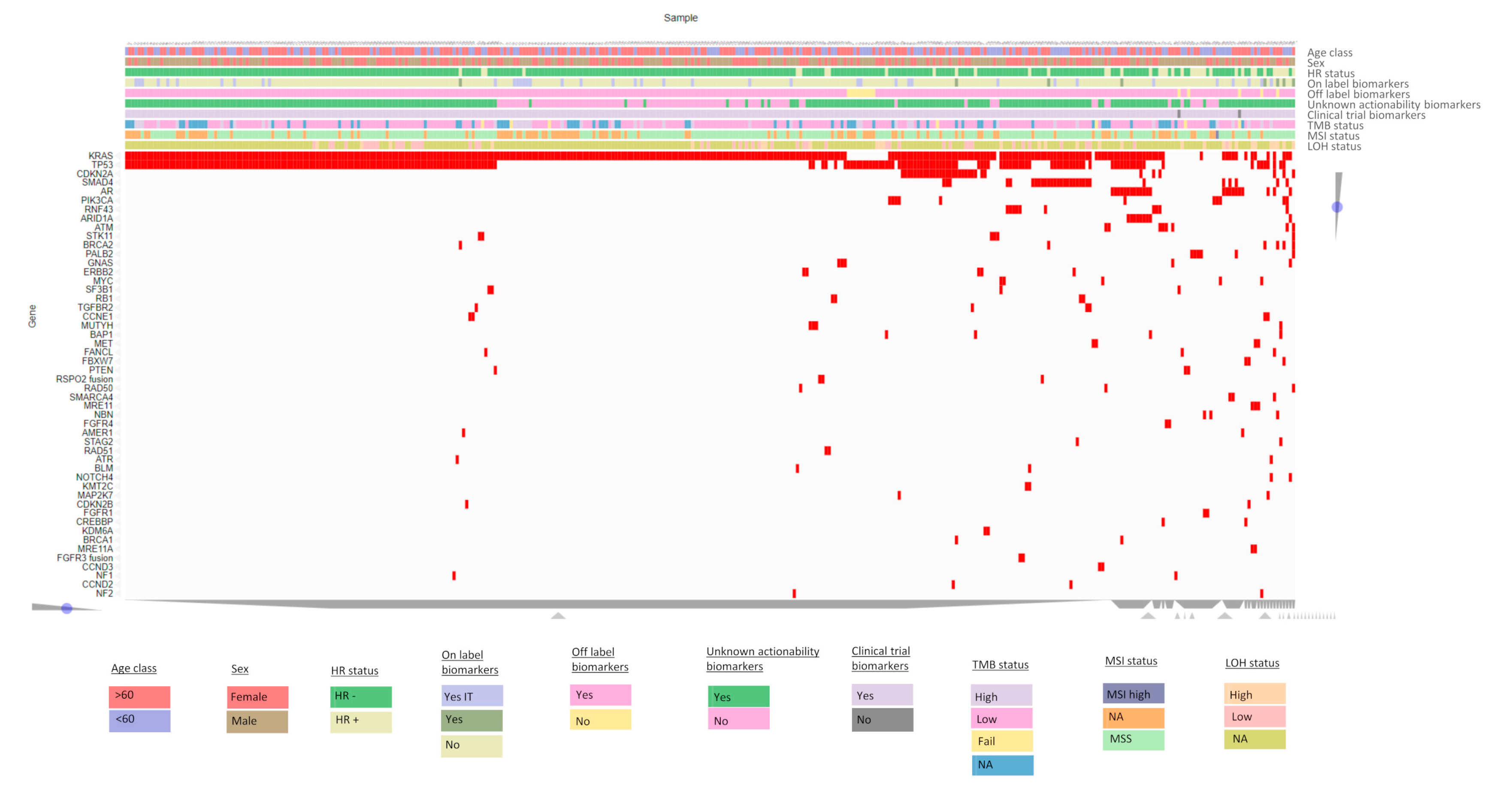 Cancers 16 00002 g002