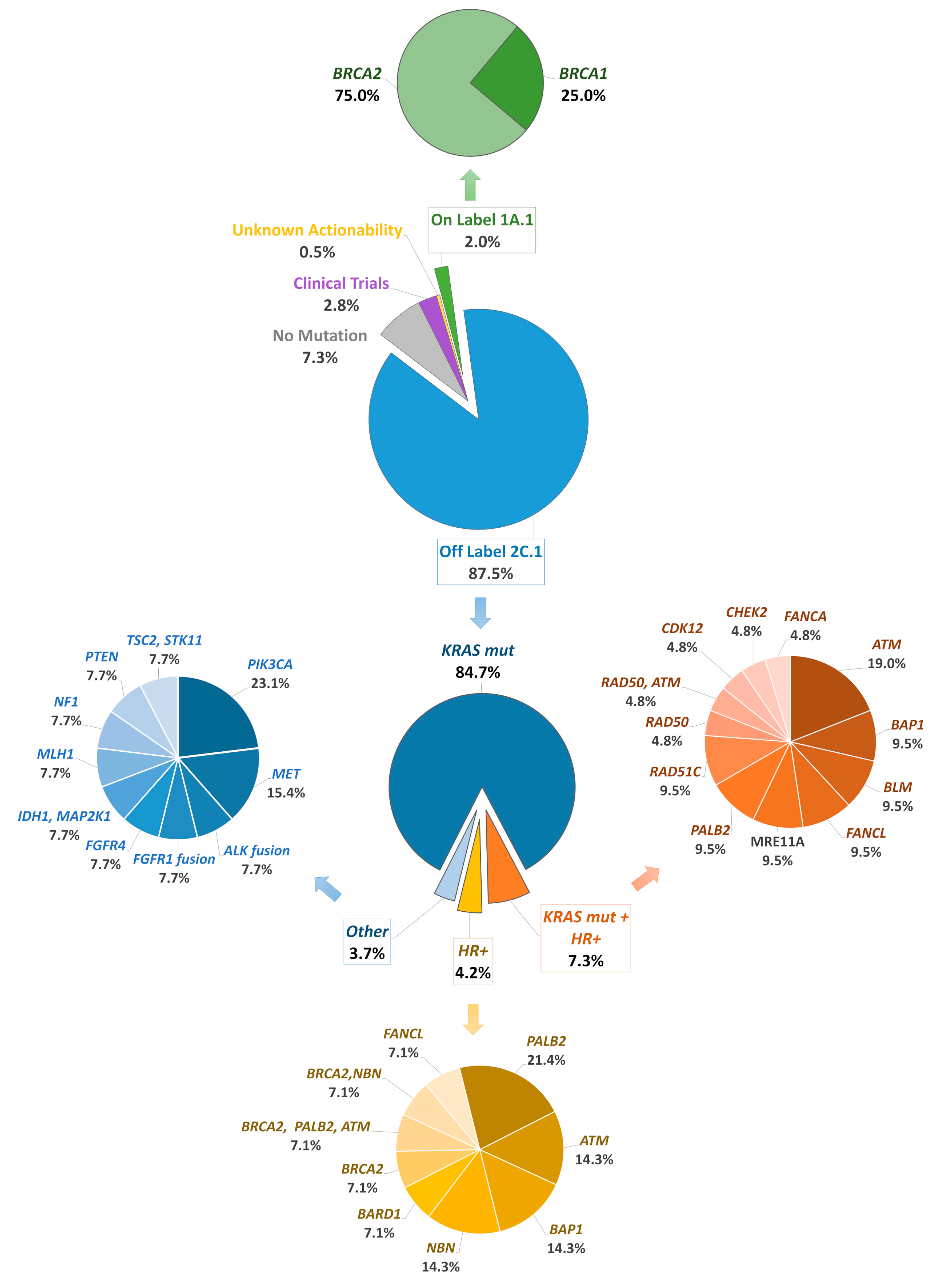 Cancers 16 00002 g004