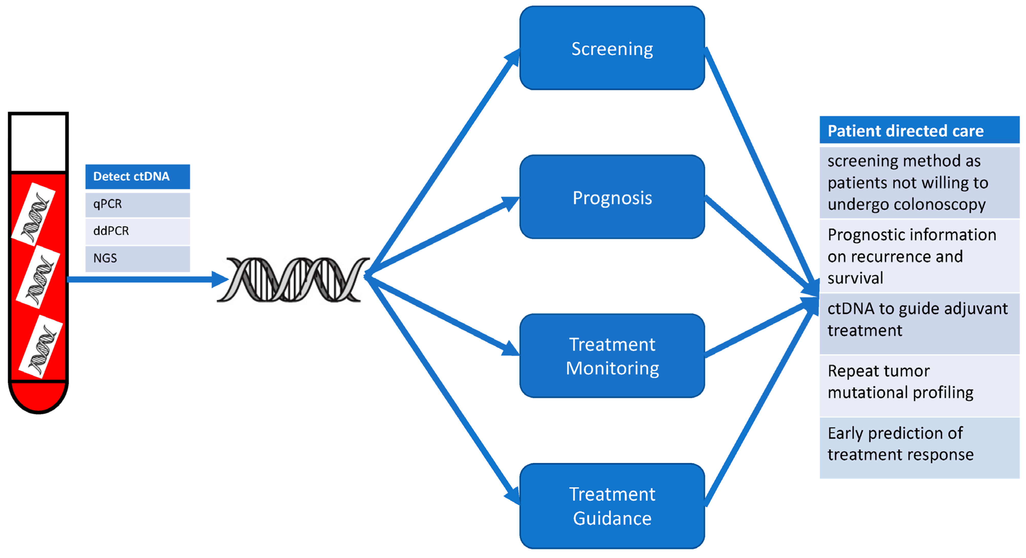 Cancers 16 00021 g001