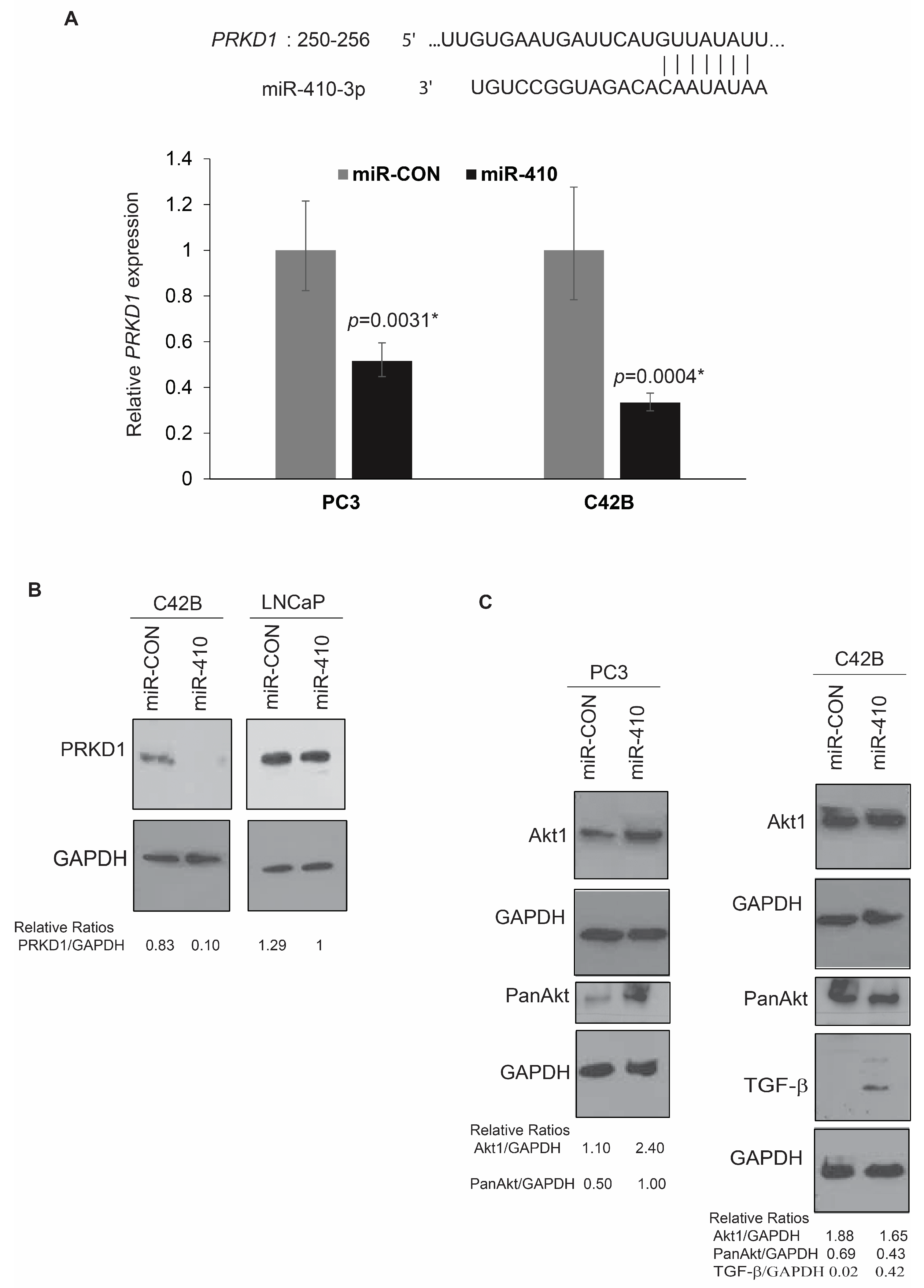 Cancers 16 00048 g007 Cancers 16 00048 g007