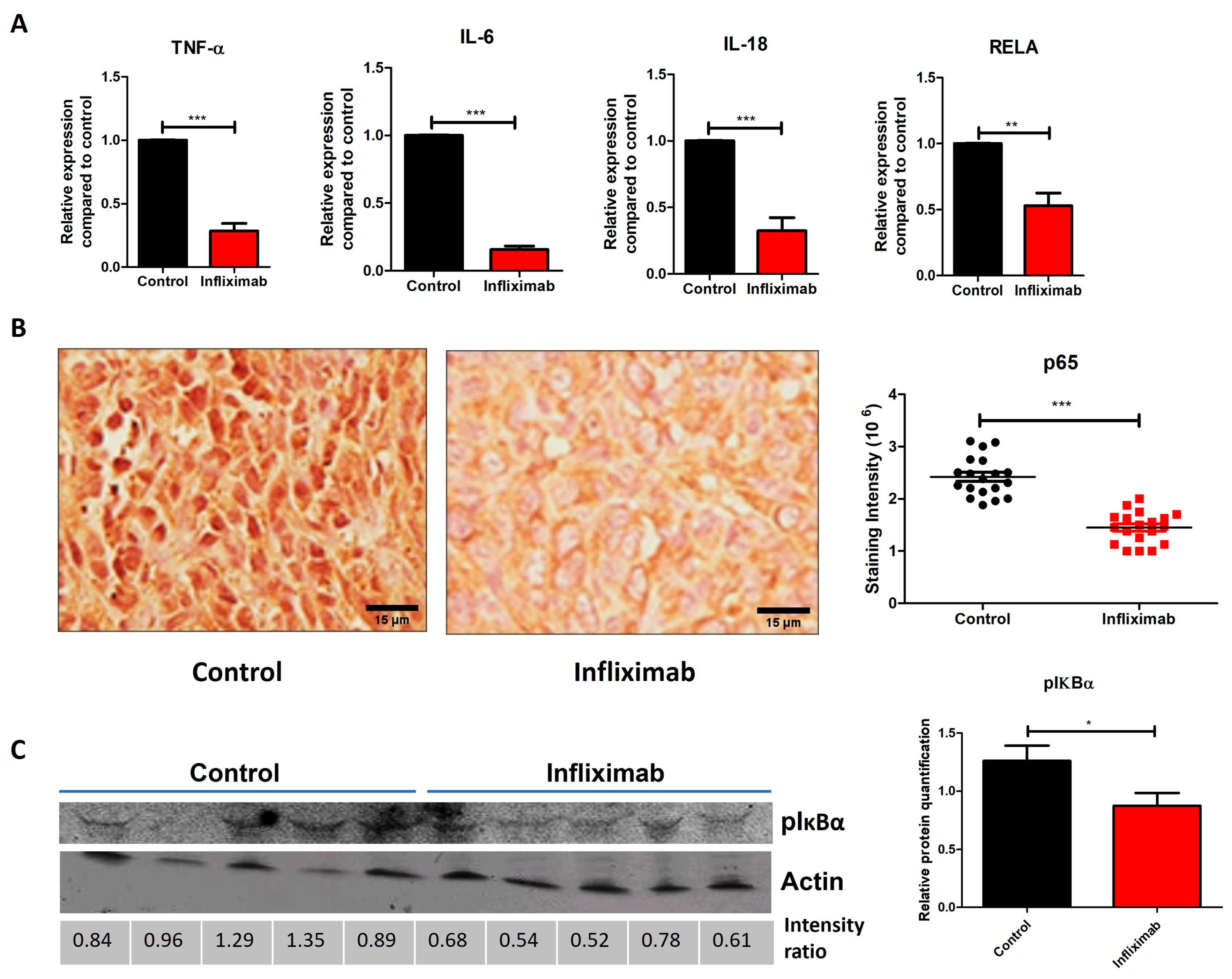 Cancers 16 00052 g003