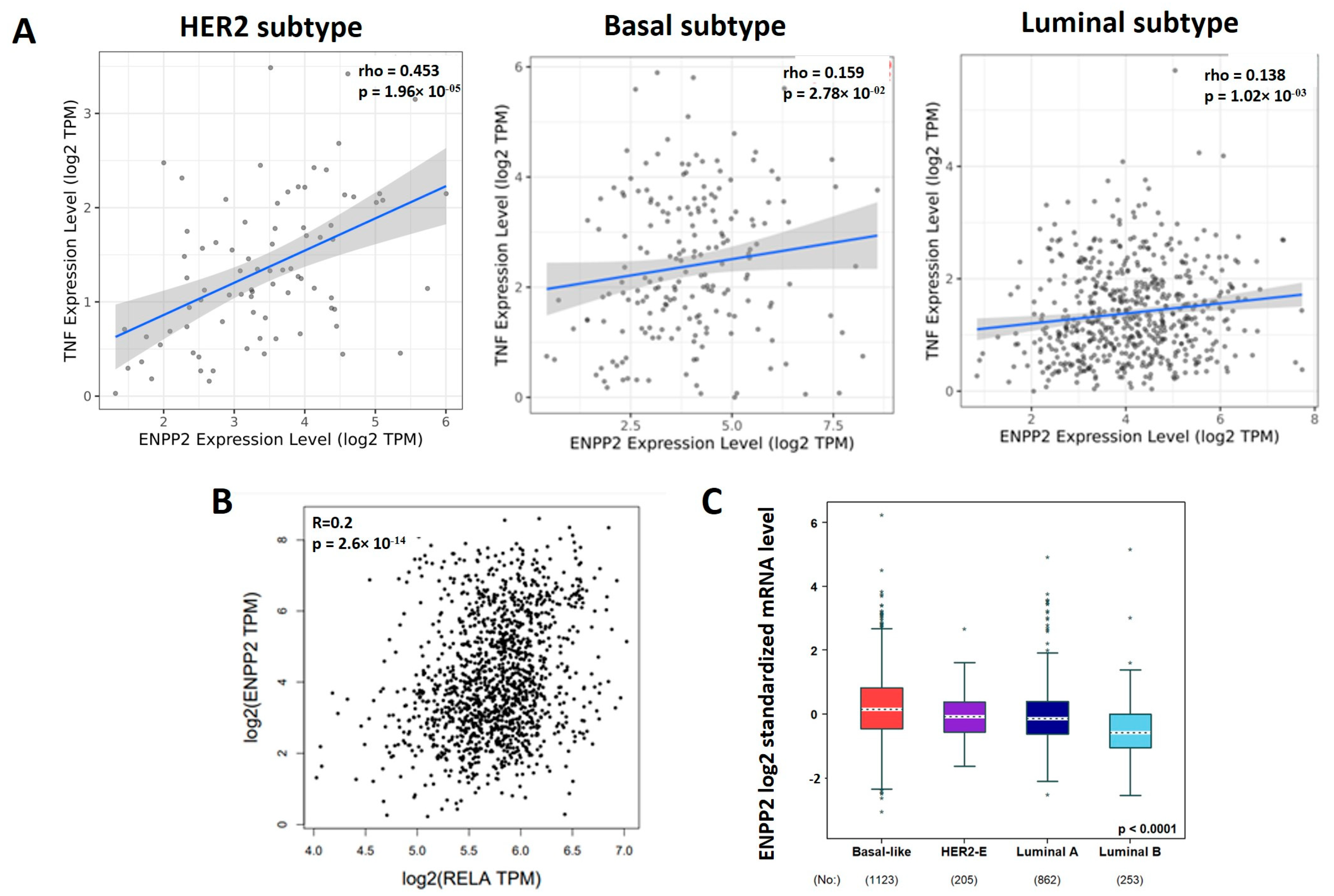 Cancers 16 00052 g004