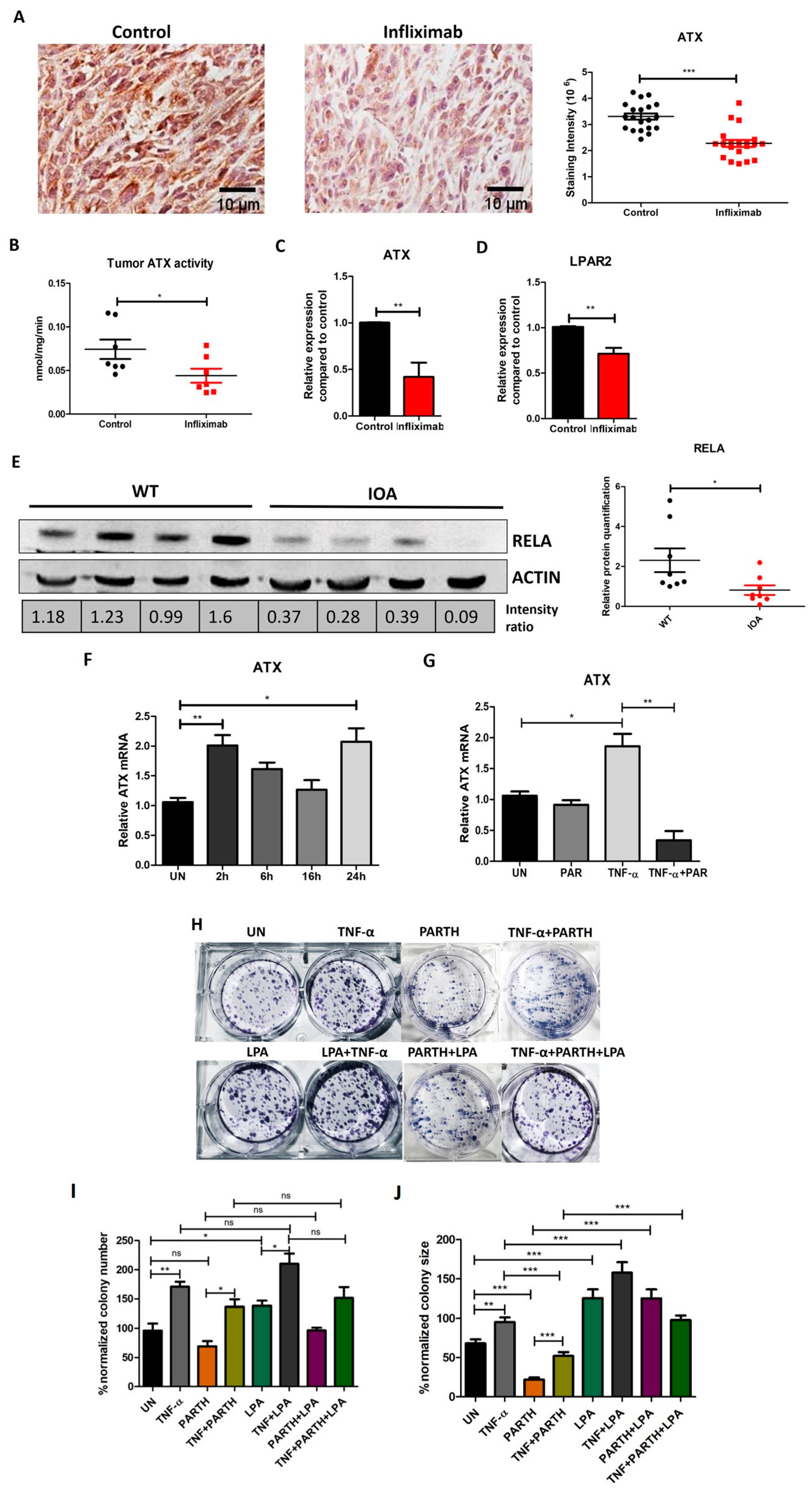 Cancers 16 00052 g005