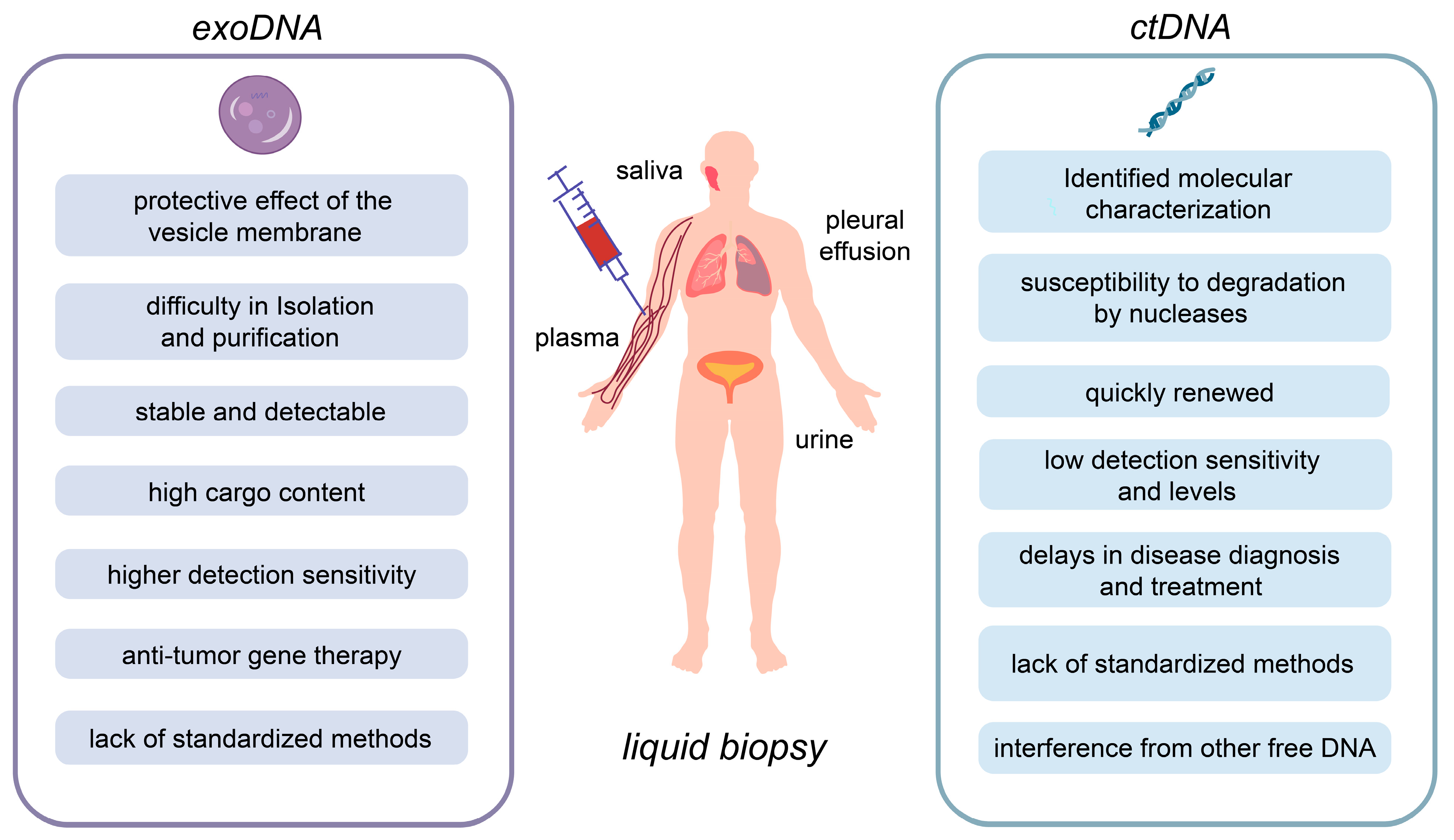 Cancers 16 00057 g001