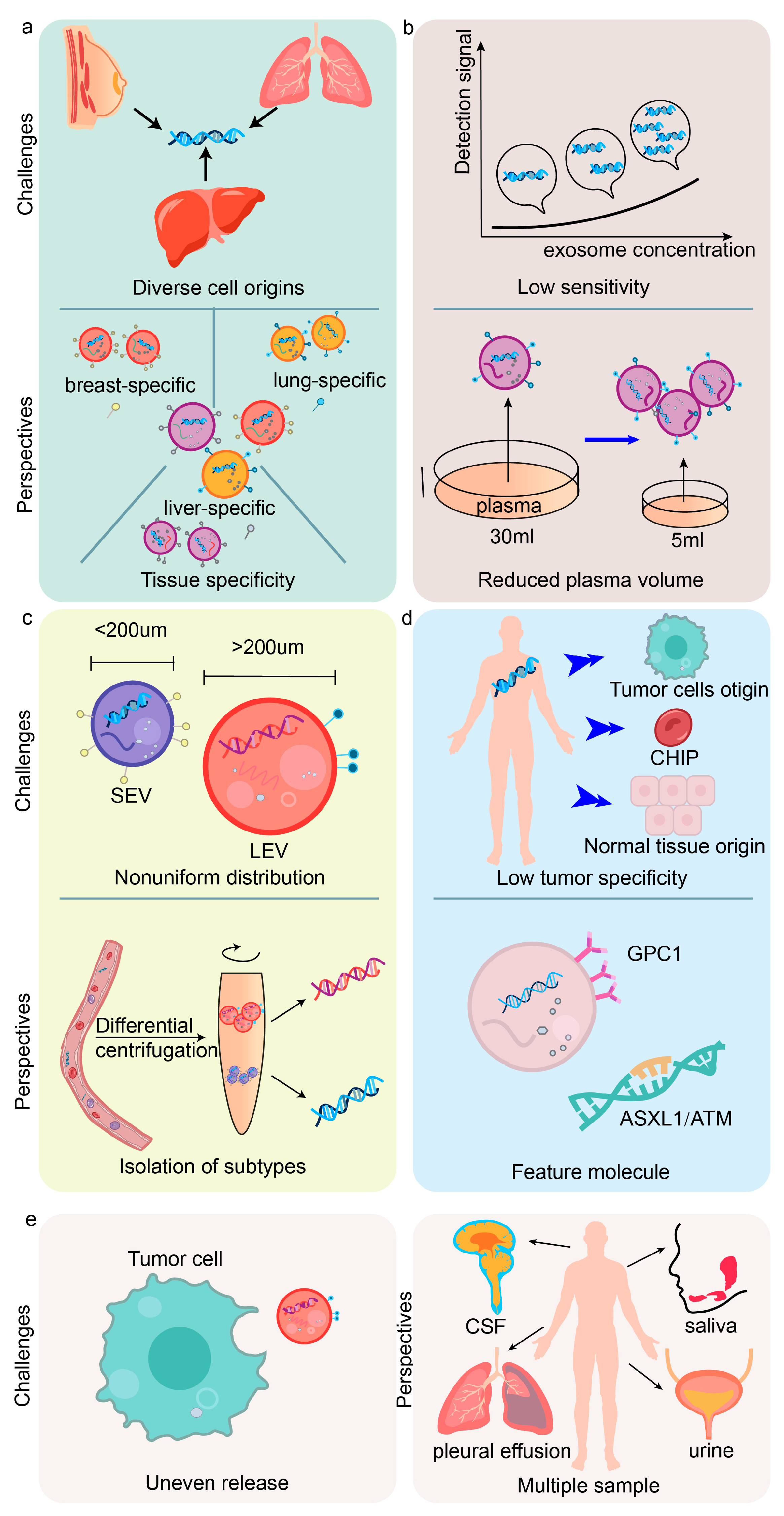 Cancers 16 00057 g003