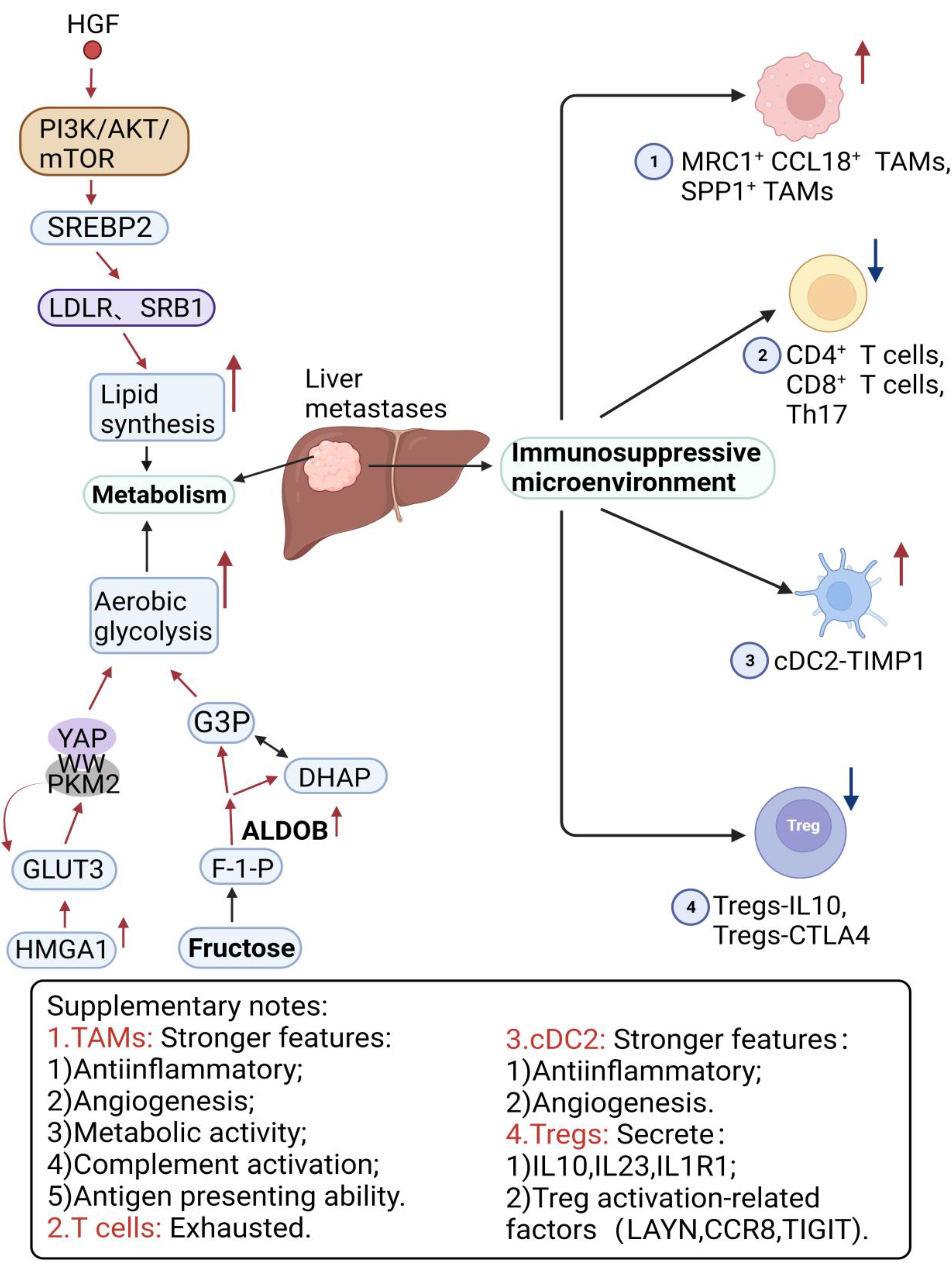 Cancers 16 00059 g002 Cancers 16 00059 g002