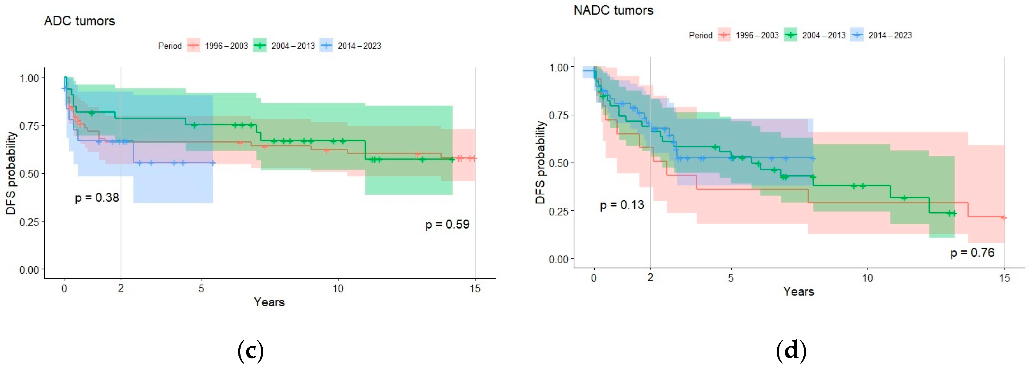 Cancers 16 00070 g004b