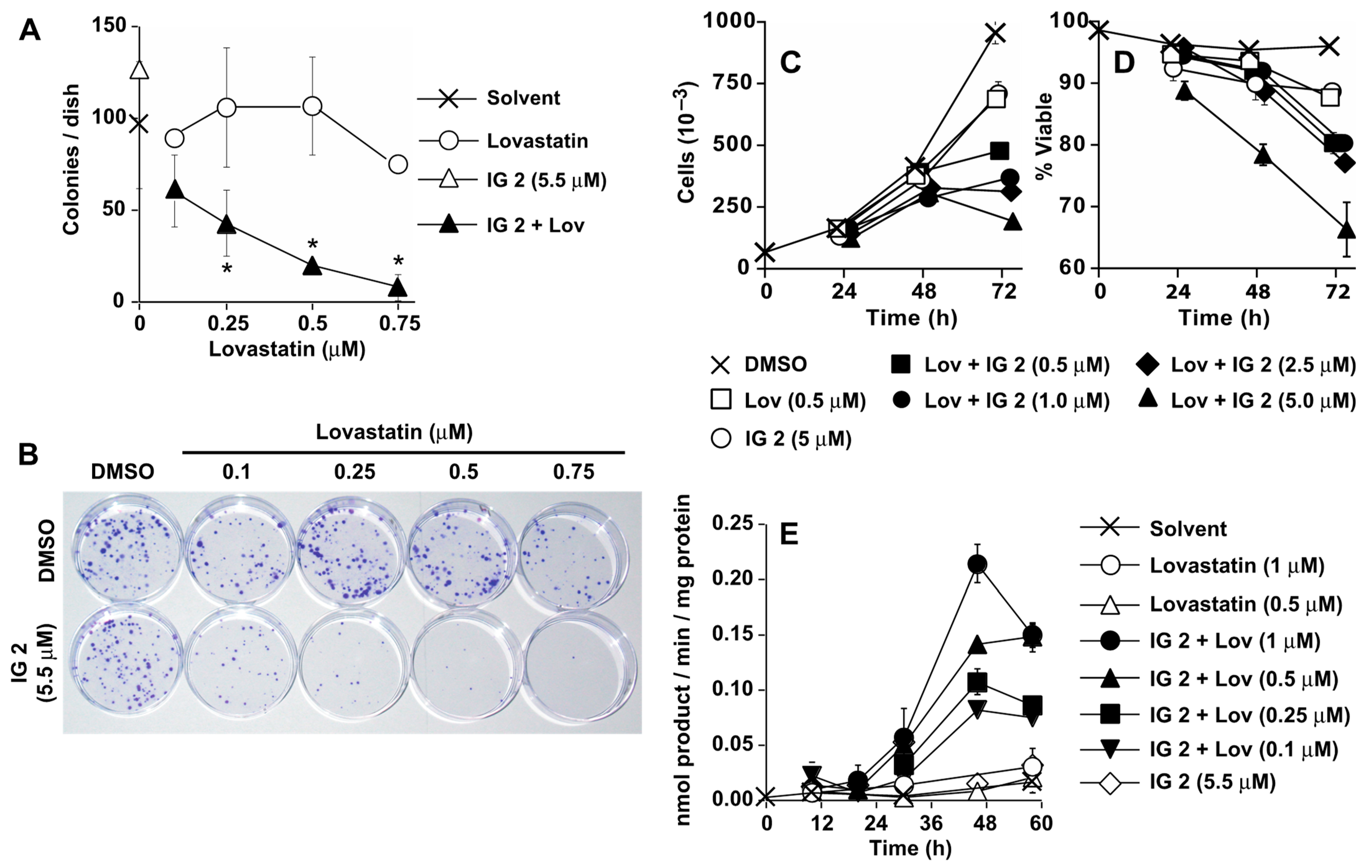 Cancers 16 00089 g003