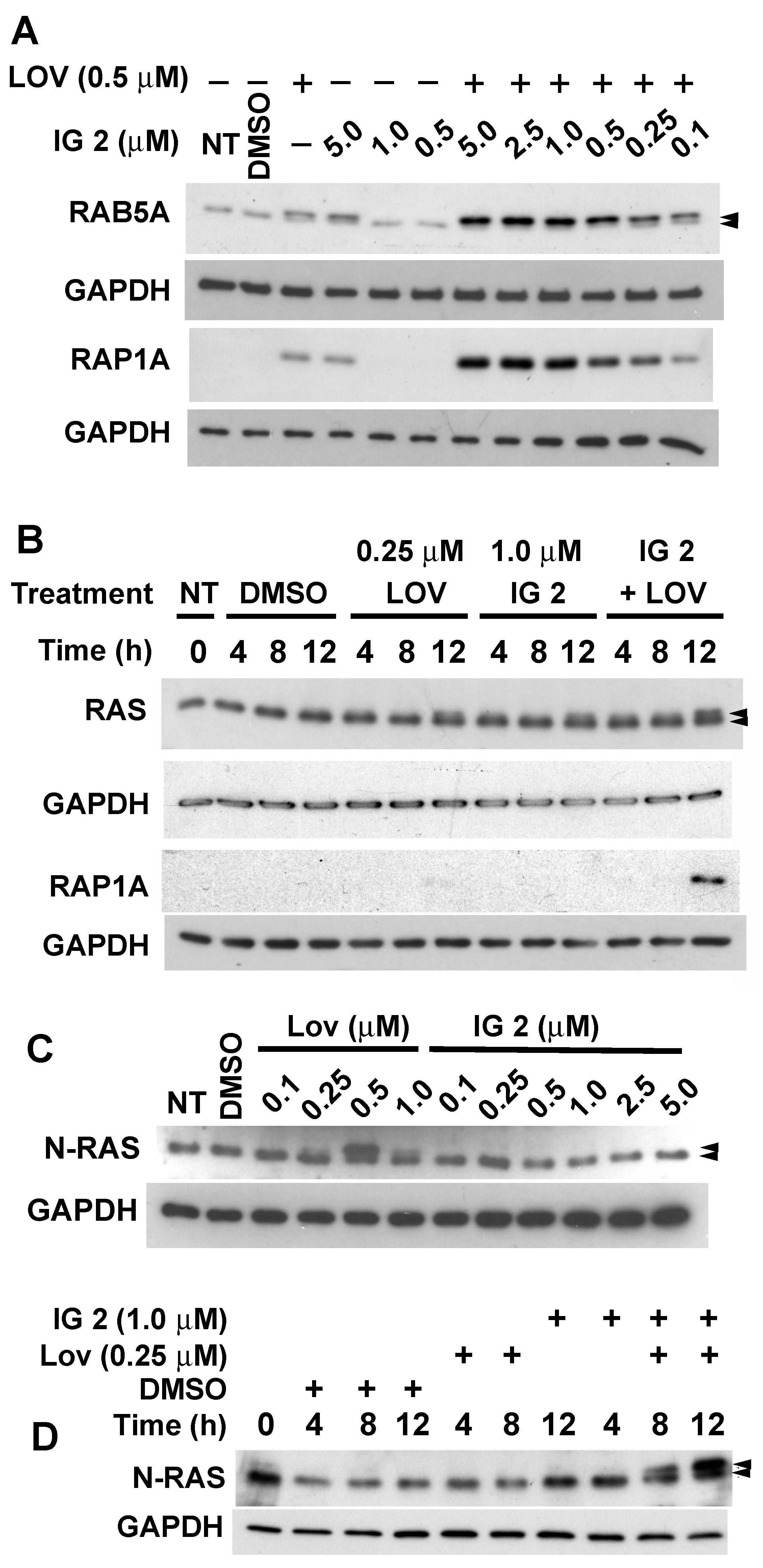 Cancers 16 00089 g008