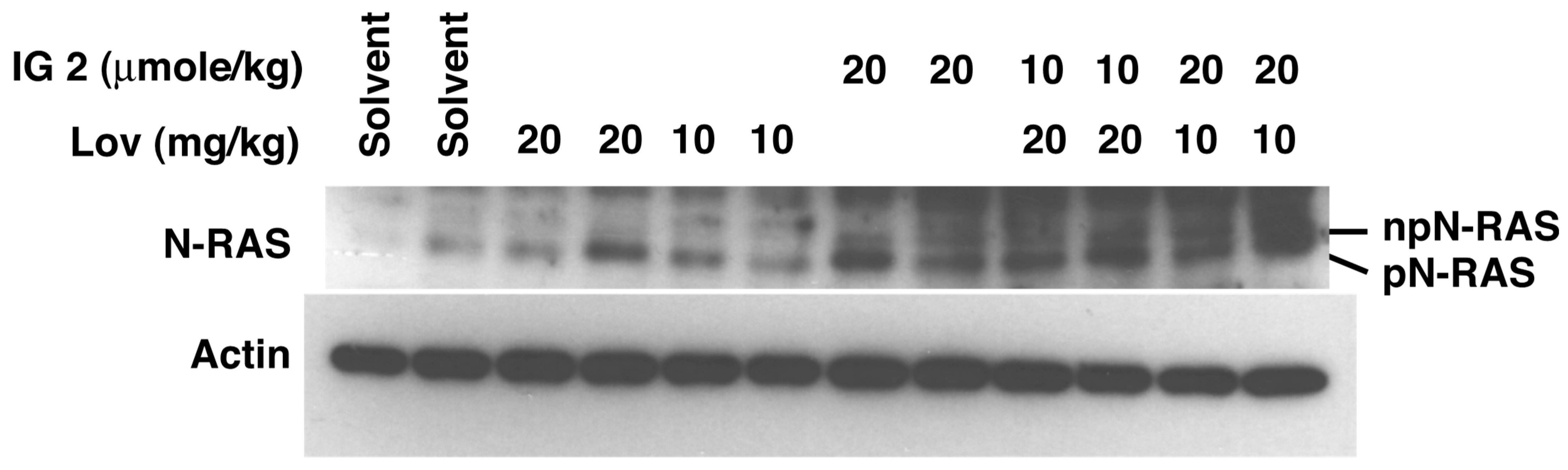 Cancers 16 00089 g009