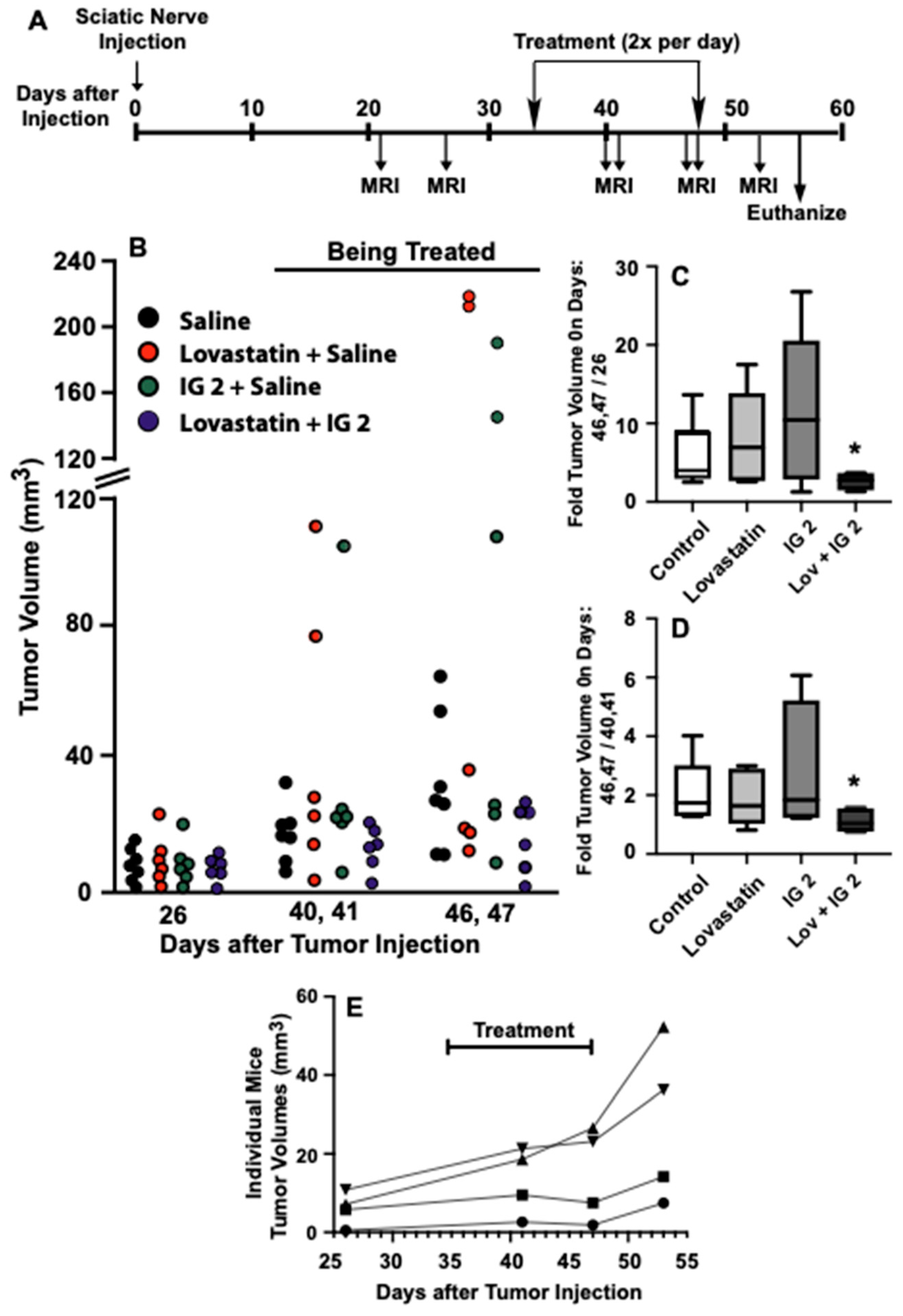 Cancers 16 00089 g010
