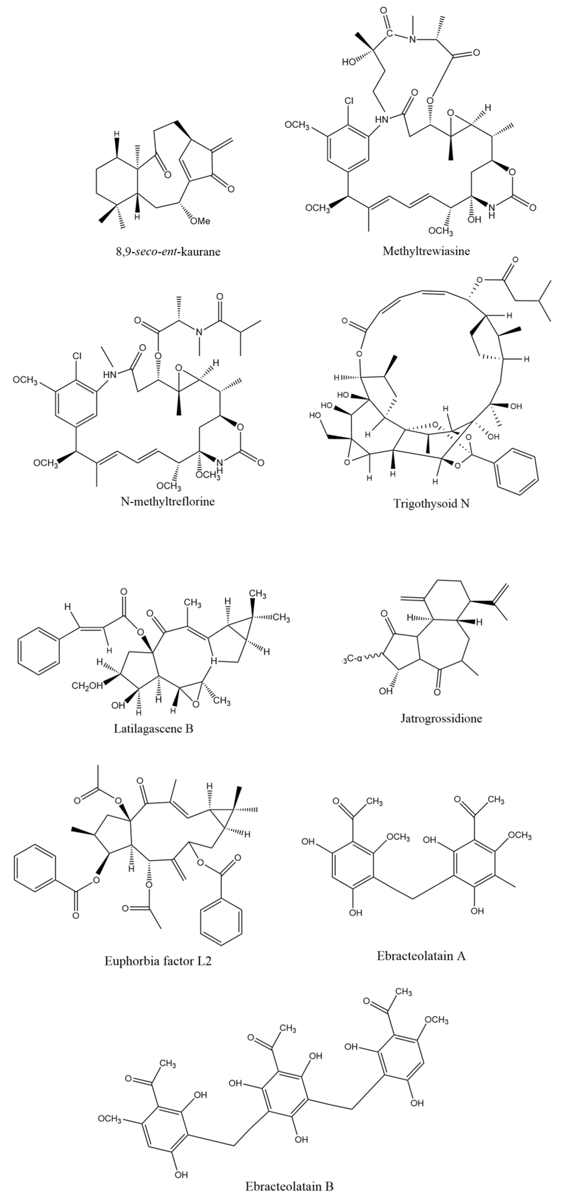 Cancers 16 00114 g002 Cancers 16 00114 g002