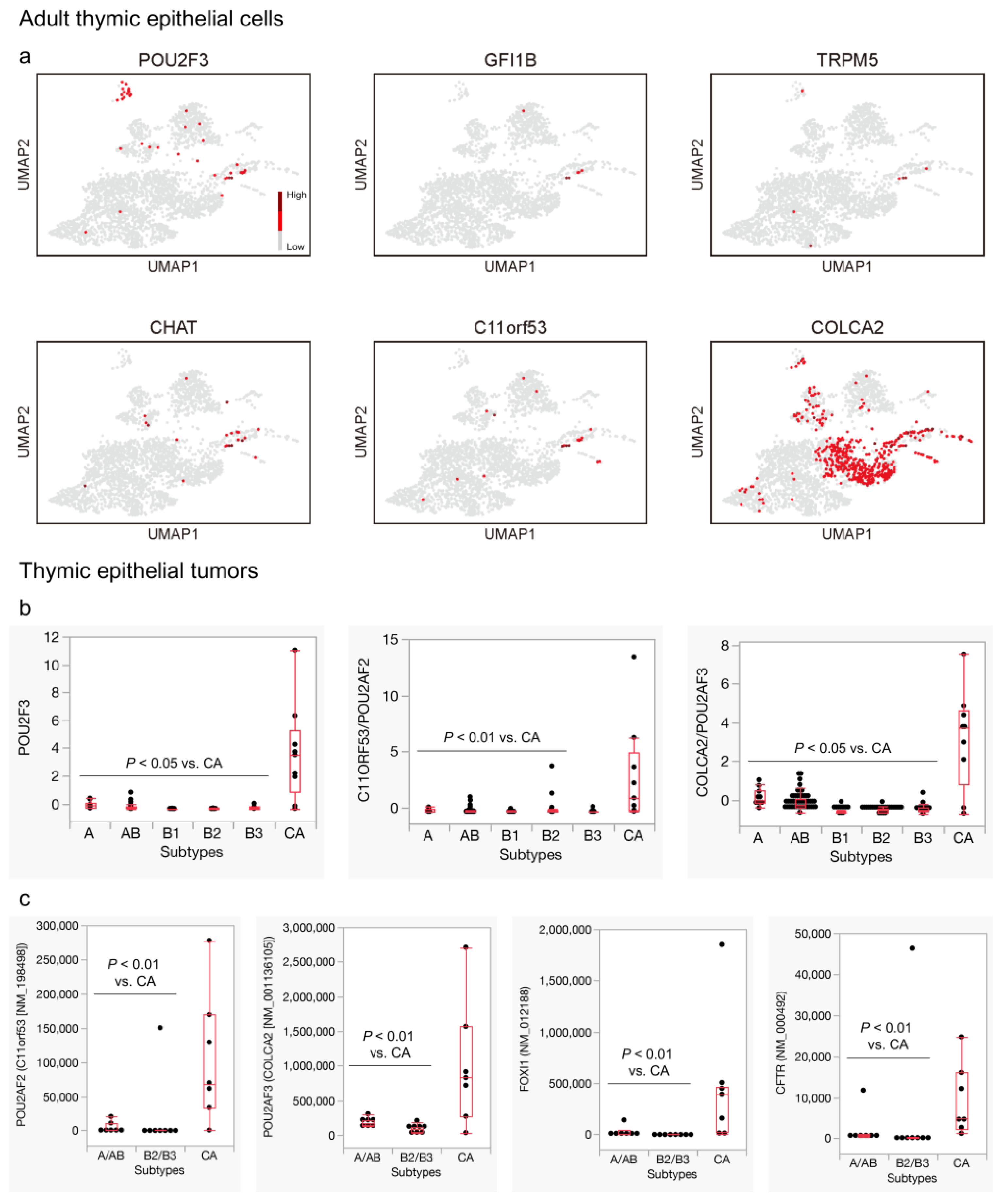 Cancers 16 00115 g002a