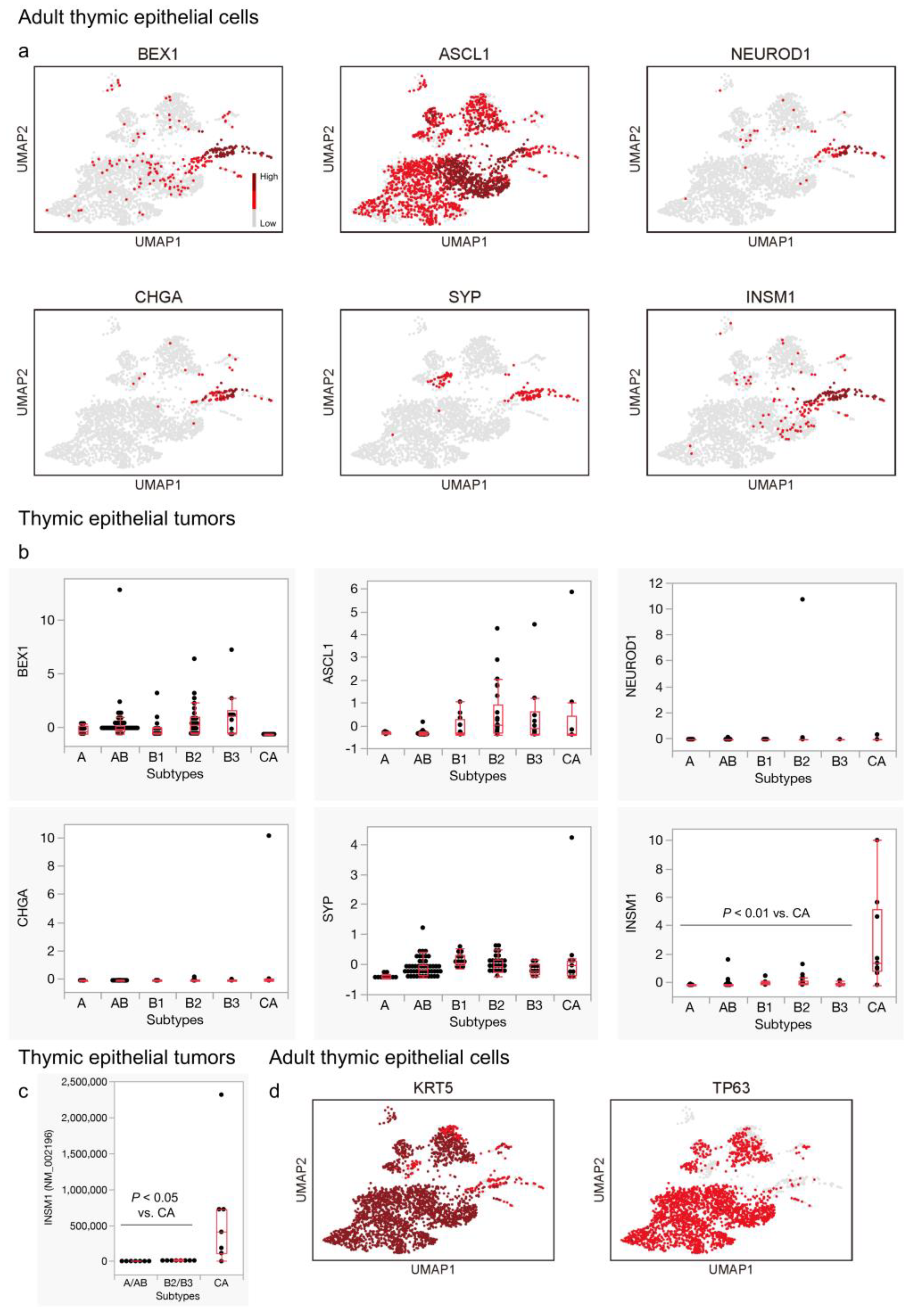 Cancers 16 00115 g003