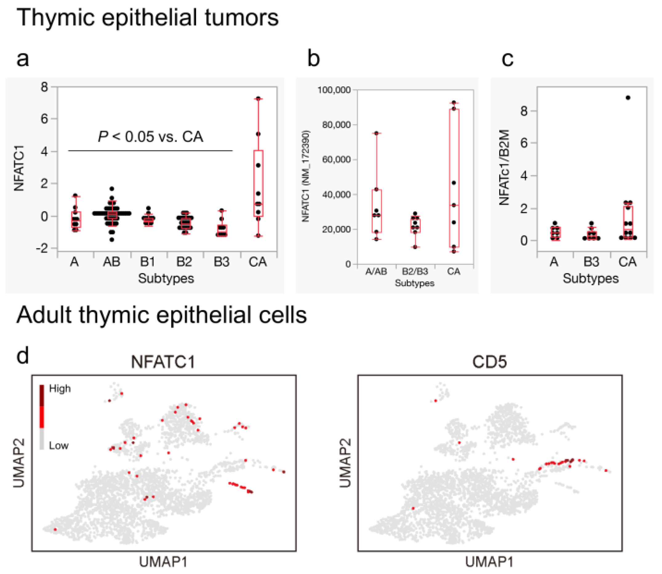 Cancers 16 00115 g006